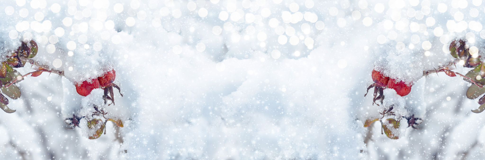 学生会举办校园歌手比赛做一个报名网站HTML语言来写。要求：网页背景淡蓝色分布居中美观一点年级带下拉框；载入背景图连接