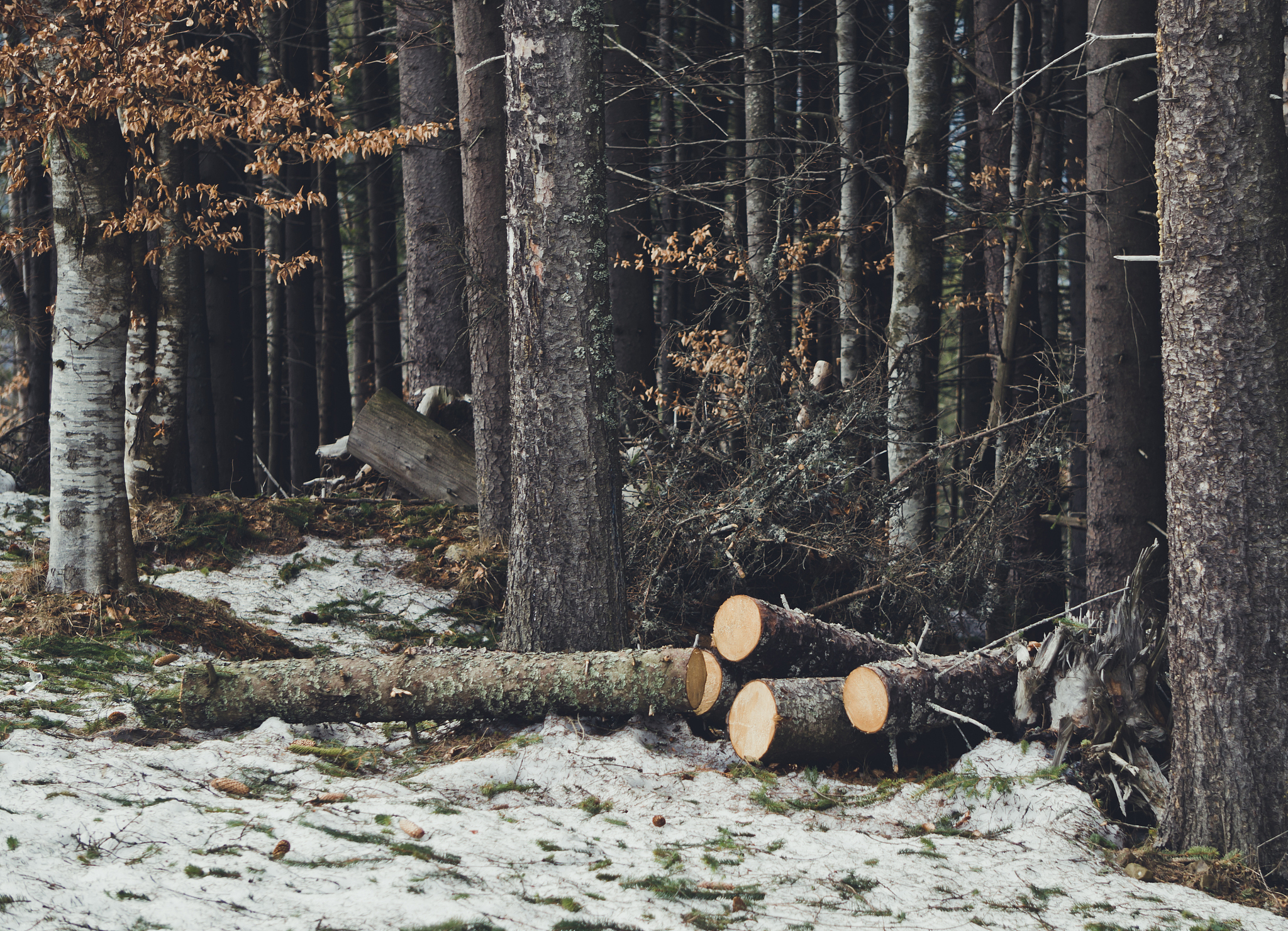 肝脏代谢产物如何进入尿液？全面解析药物代谢过程