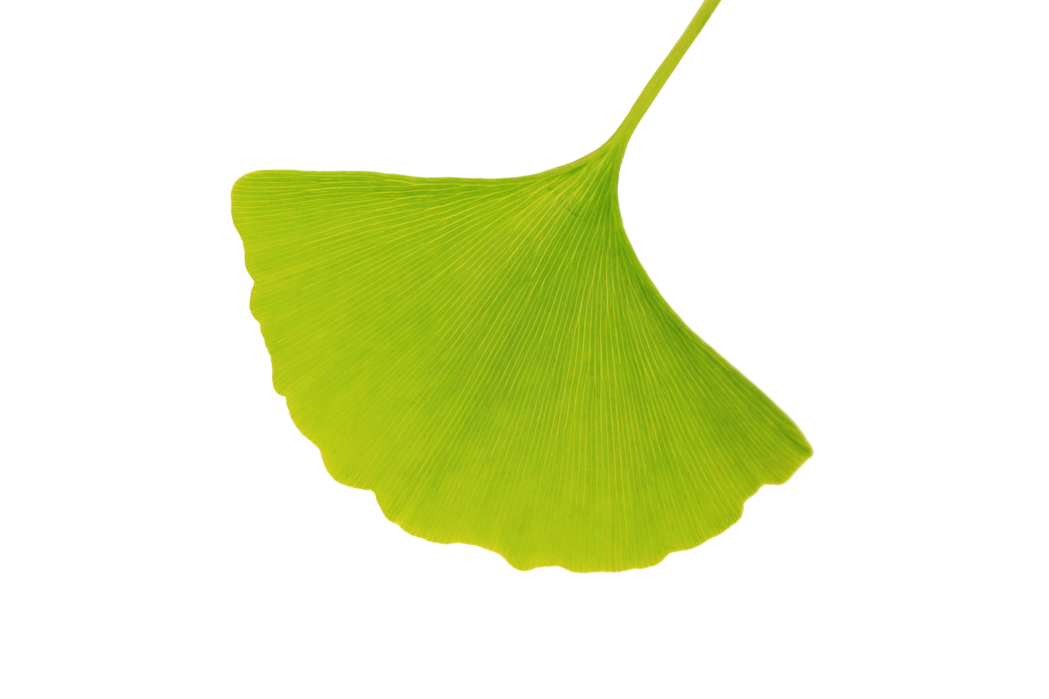 贵州2022年就业前景好的中专学校推荐