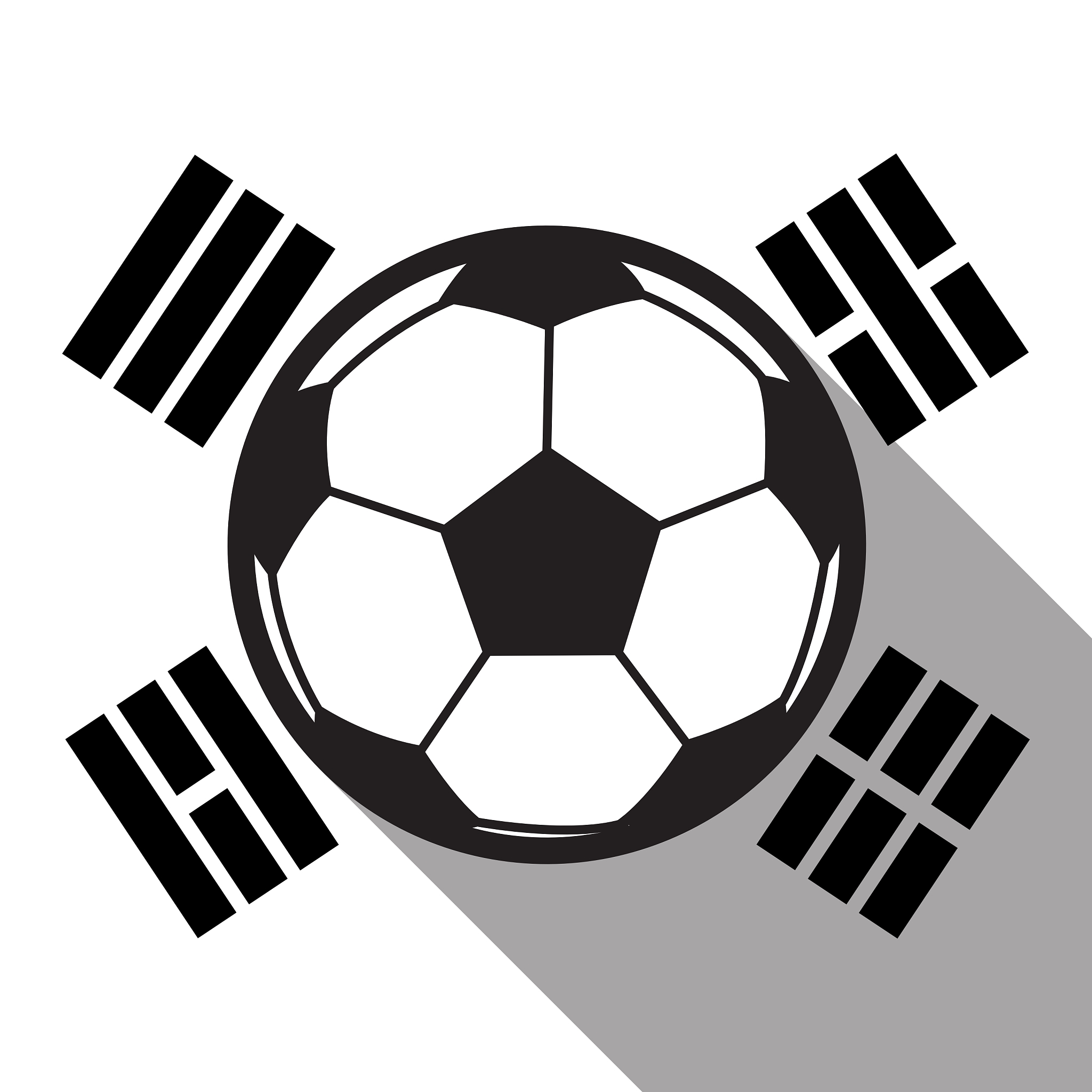 football icon with south korea flag