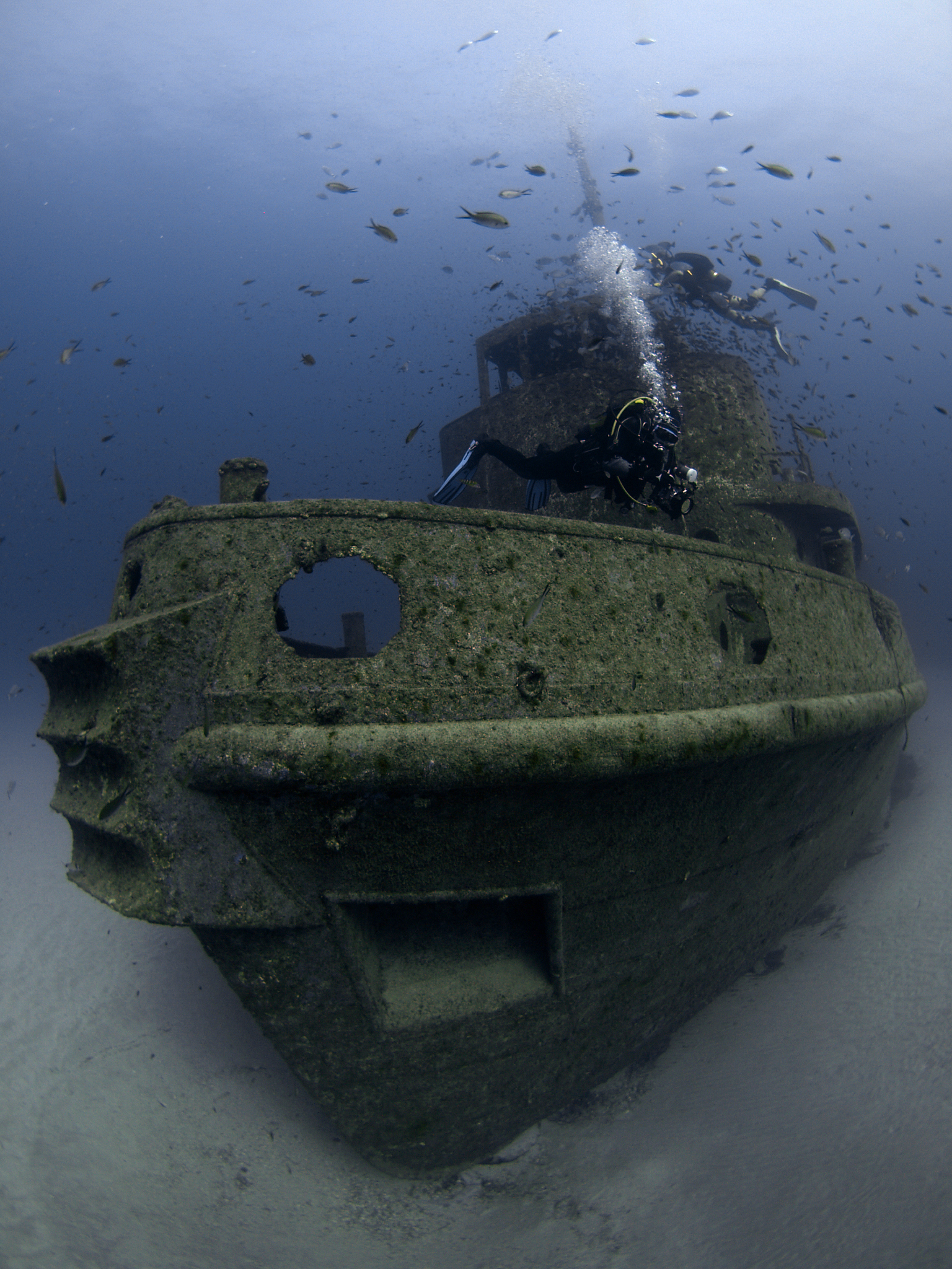 scuba divers investigating a shipwreck