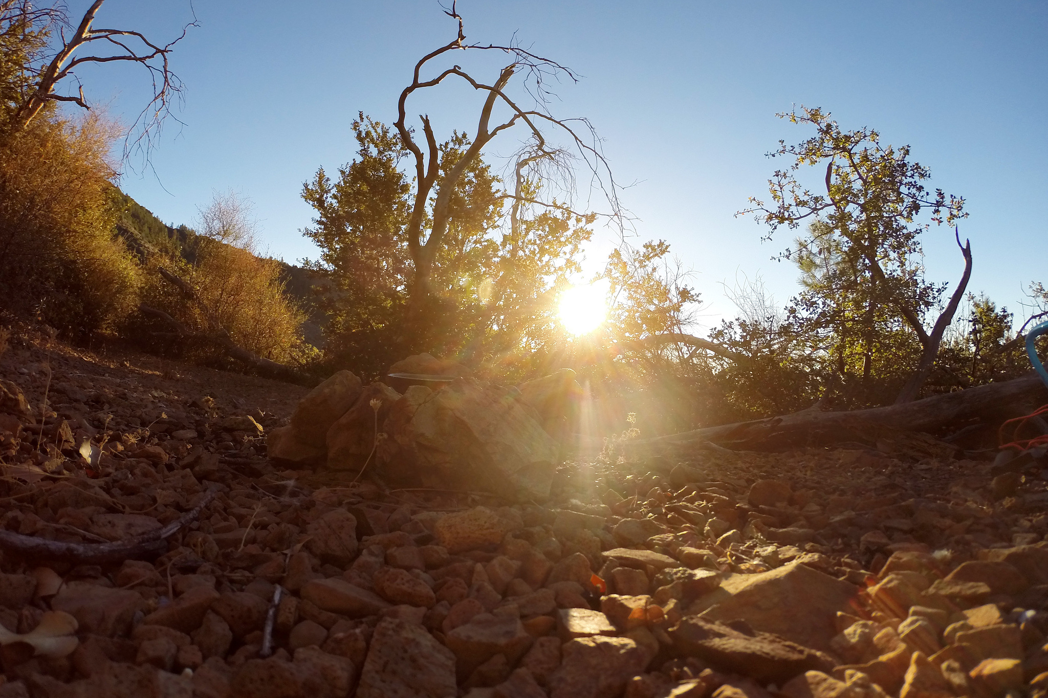 请描写一下夕阳下一座森林里一个垃圾堆旁一位年轻人刚清醒的画面