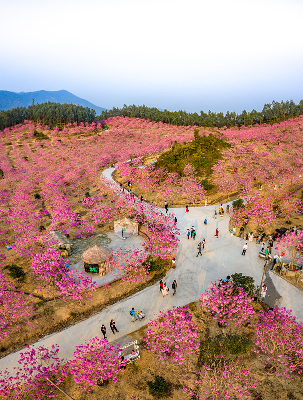 广东生态工程职业学院园林技术专业就业前景怎么样？