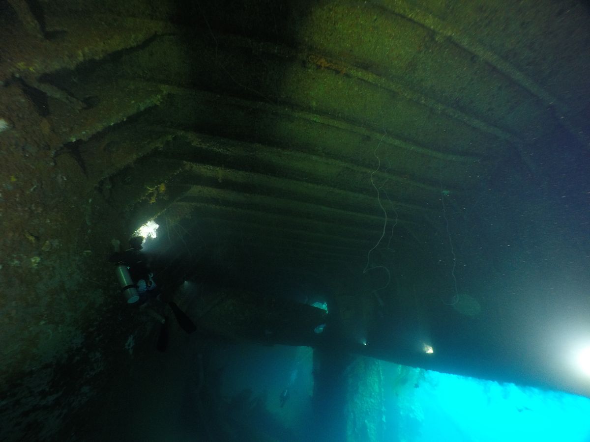 8 个你可能从未听过的冷门事物