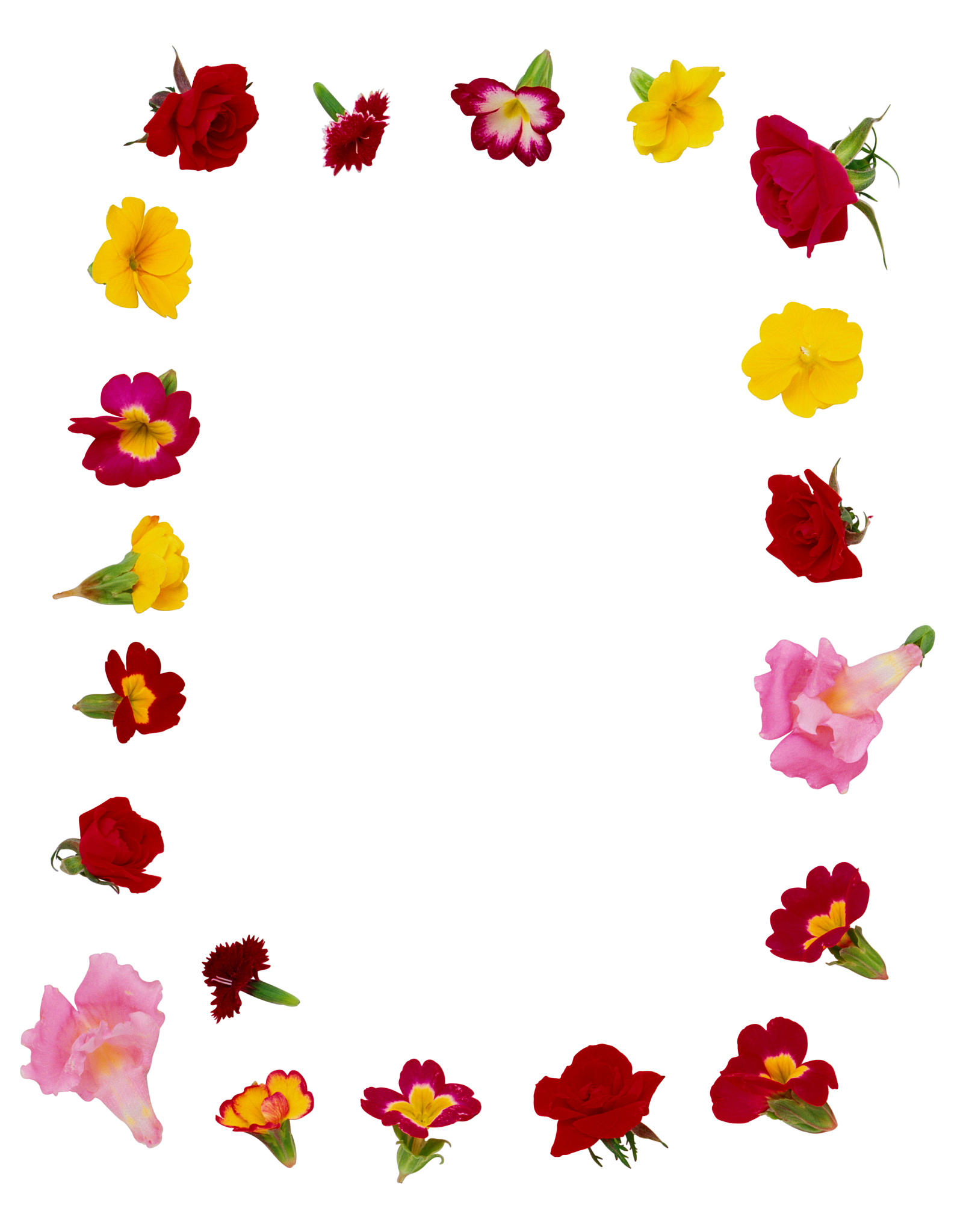 arrangement of edible flowers