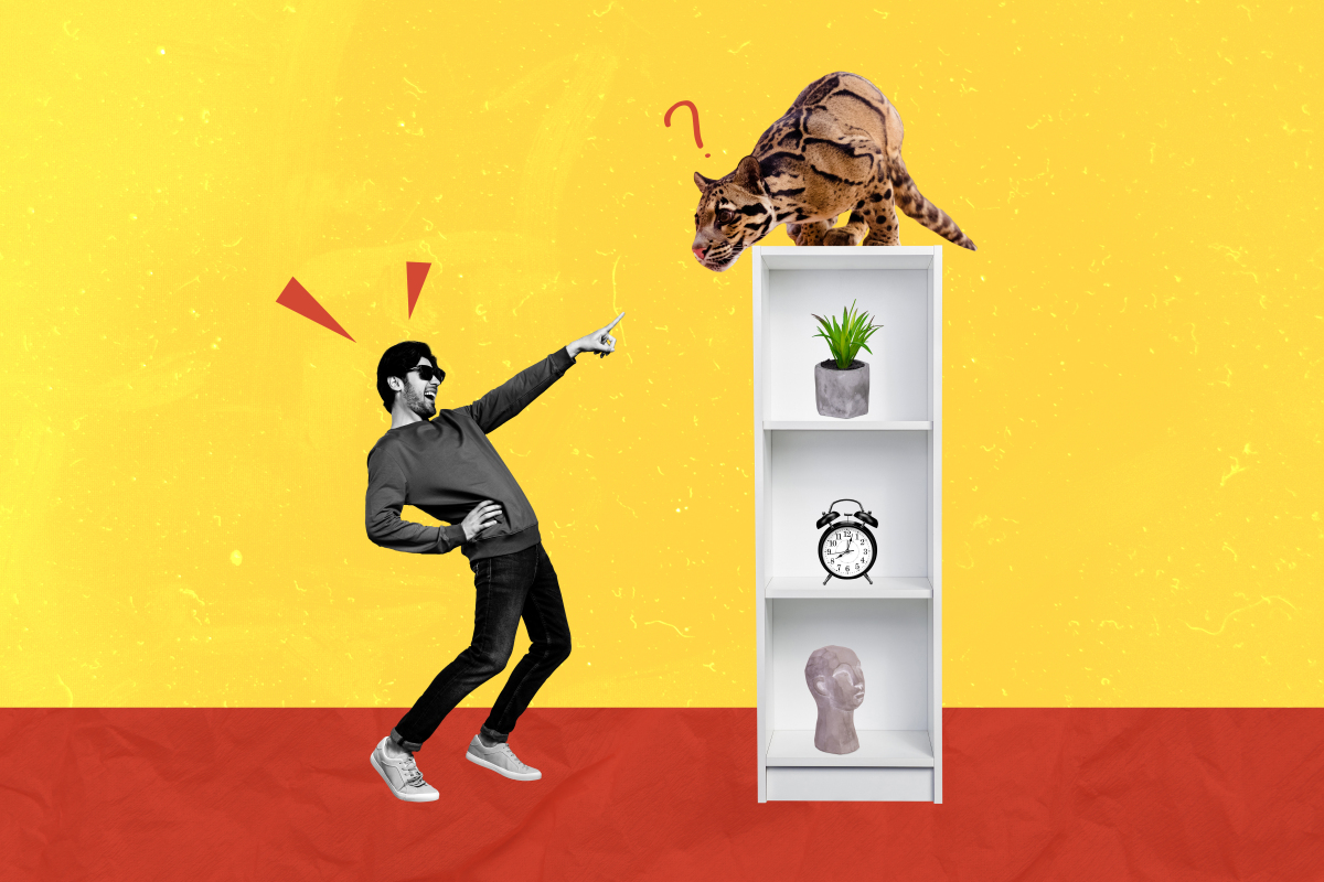 图形创意设计原则：简洁、创意、重点、品位、关联、情感、差异、可读性