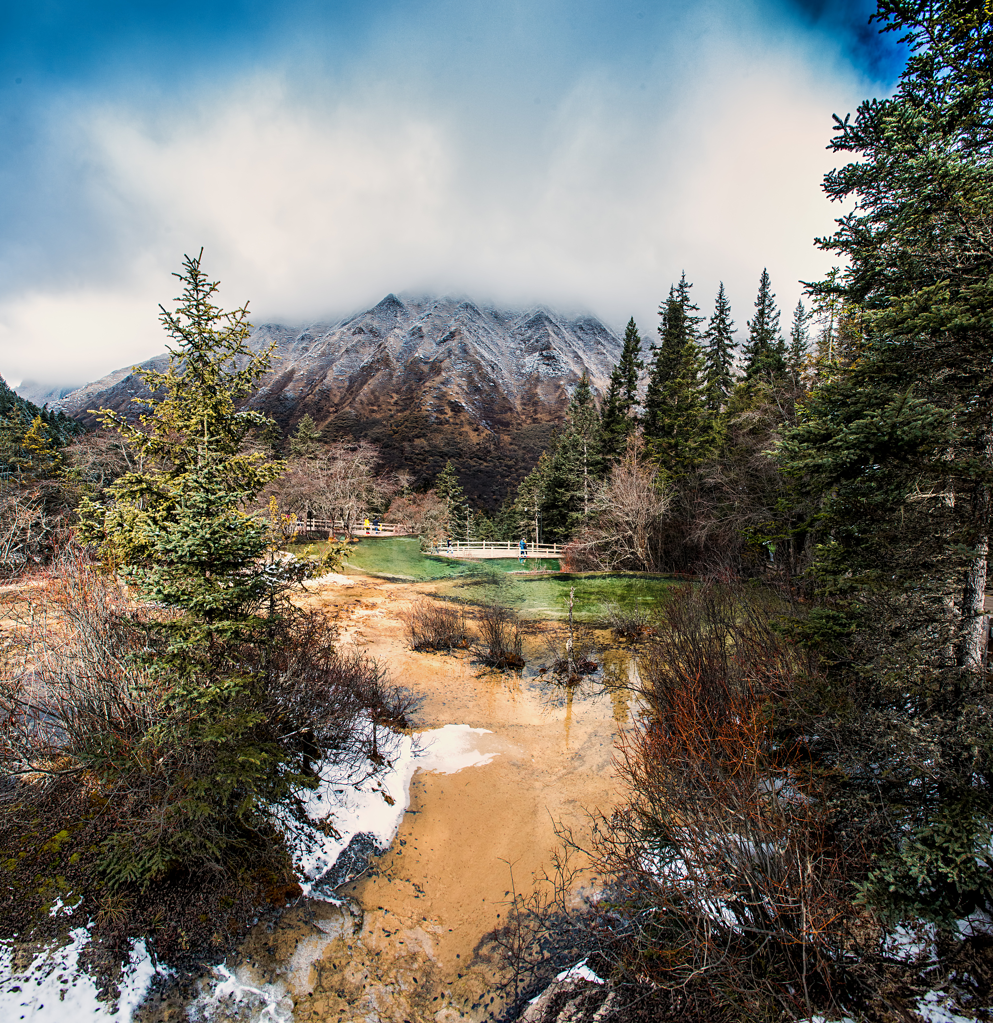 四川中医药高等专科学校中药生产与加工专业招生