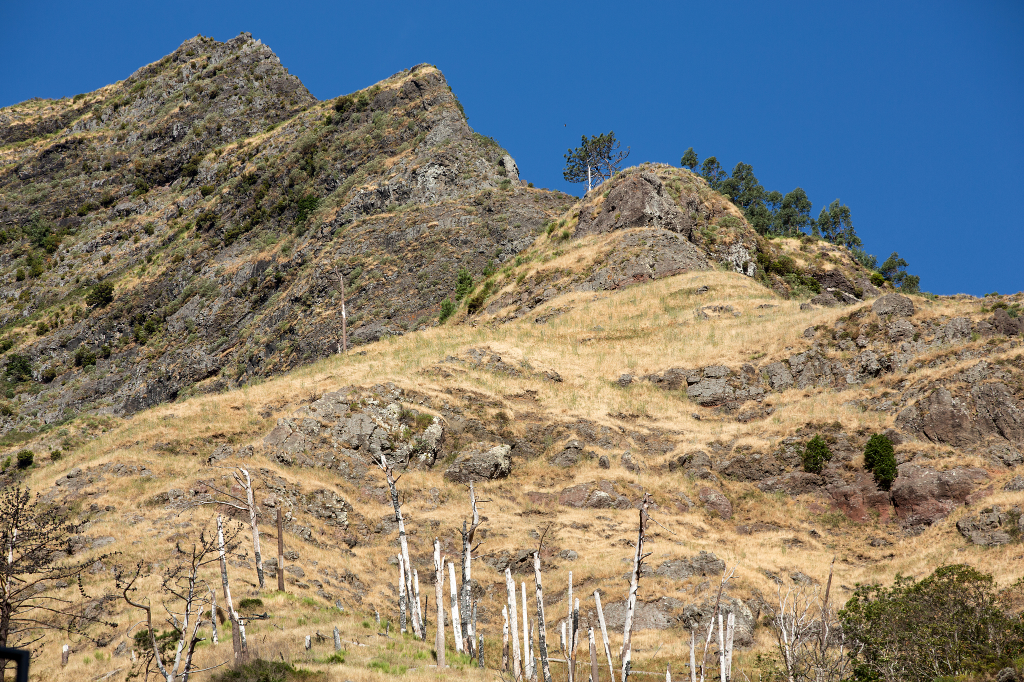 view to the south from the pass boca da encumeada in madeira