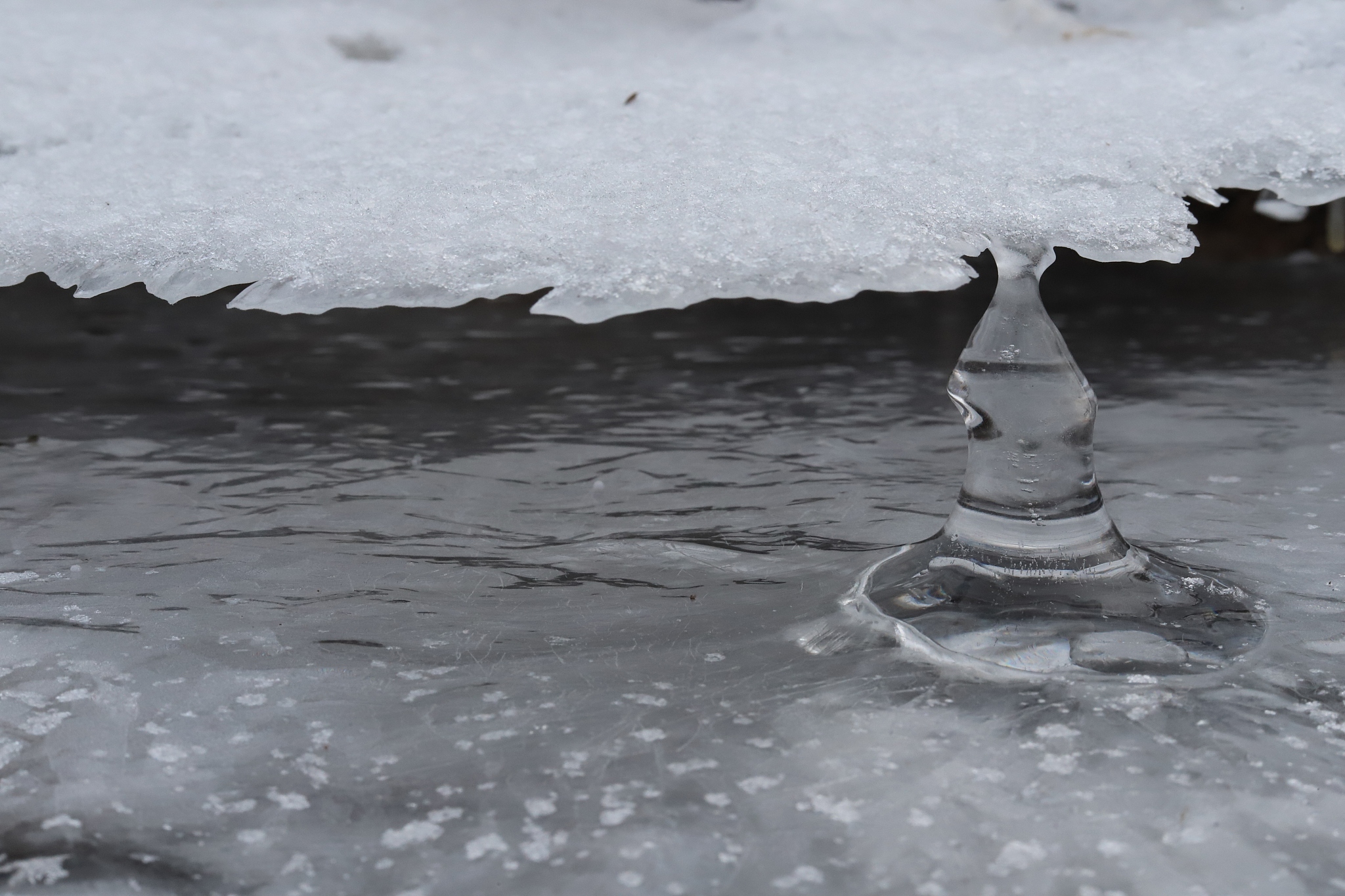 冰冻三尺非一日之寒，量变引起质变：深刻理解事物发展的规律