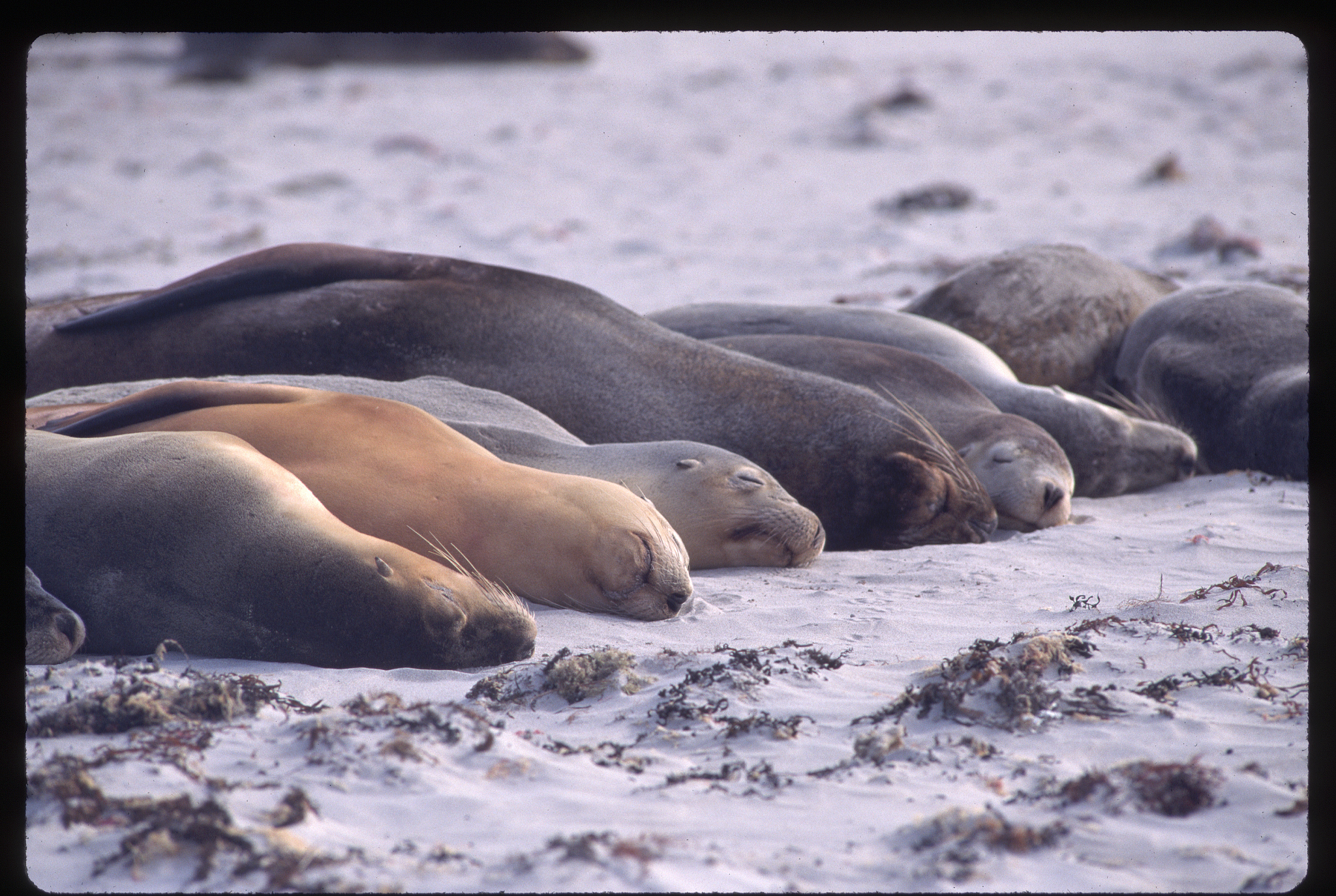 青岛海洋技师学院怎么样？好就业吗？