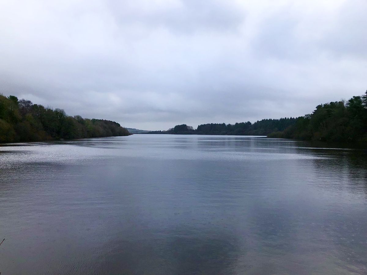 帮我写一首歌颂高考的诗