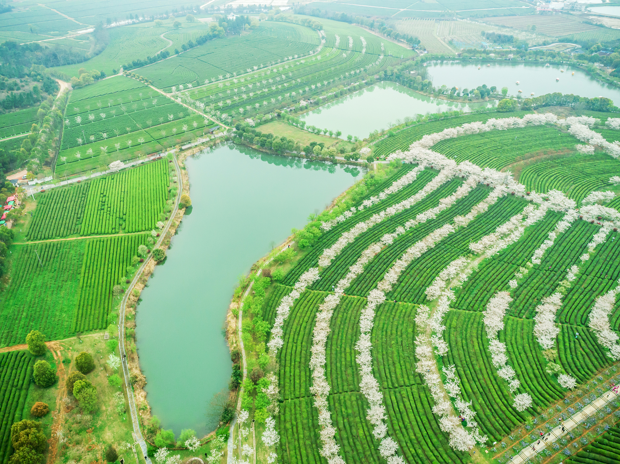 根据菜、瓜类等农产品是重要的绿色农产品生产基地。阴山以北为荒漠、半荒漠化草原面积约21万平方公里草场面积3650万亩盛产戈壁红驼、二狼山白绒山羊、草原黄牛、蒙古马等无污染绿色畜产品是优质畜产品输出基地。5服务业发展乌拉特后旗现有旅游景点38处已建成国家3A级景1个2A级景区4个特色乡村旅游2个红色教育基地有2个。现有国家级沙漠公园、地质公园、草原生态公园各1处国家级自驾车营地1处。四星级农牧家乐7