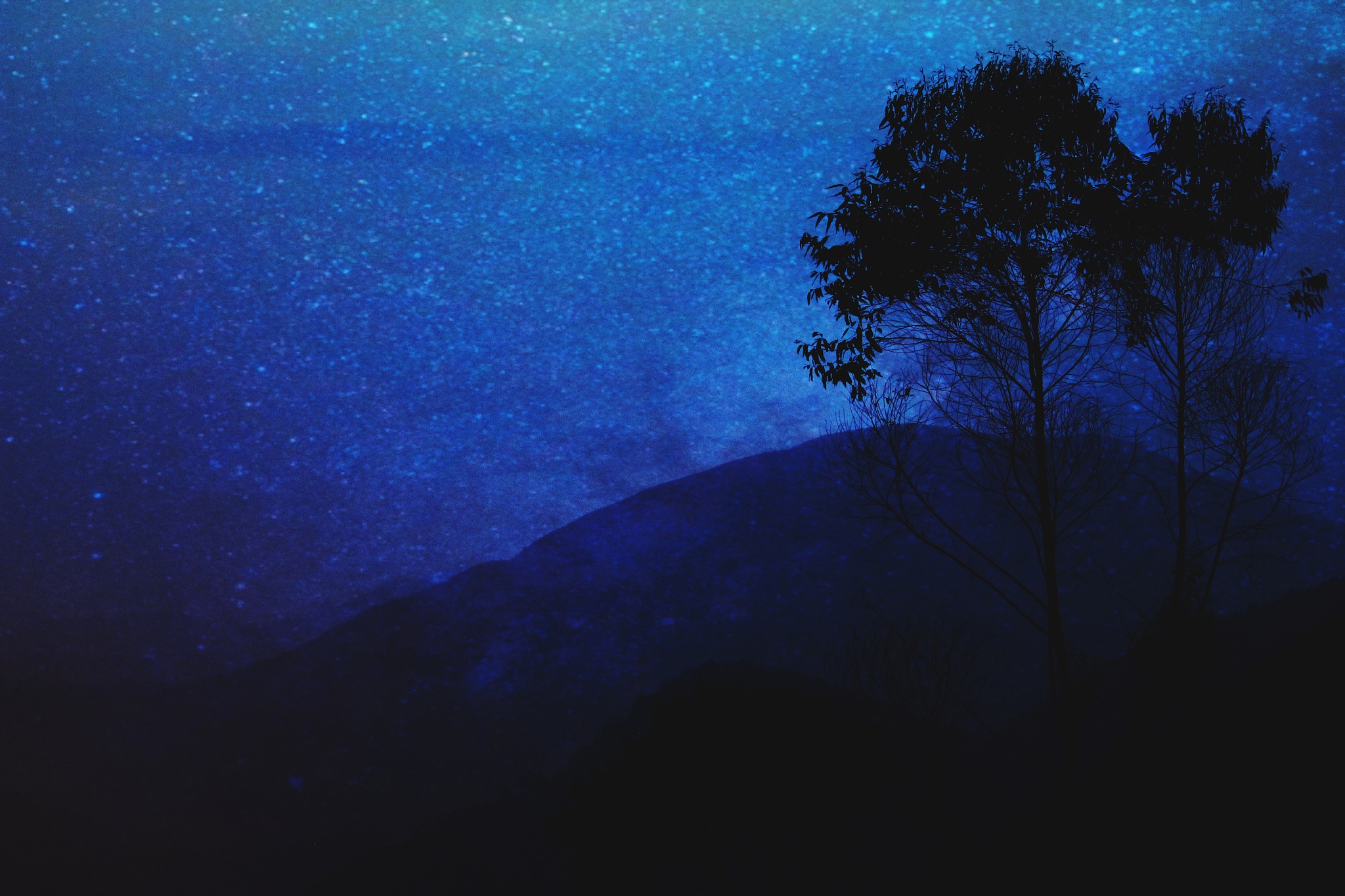 安庆职业技术学院旅游管理专业怎么样