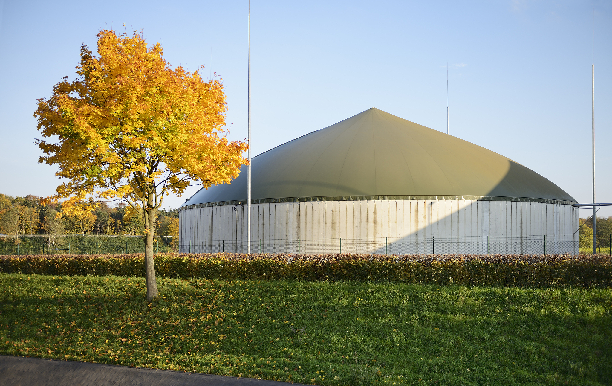 产甲烷菌：广古菌门中的甲烷生成者