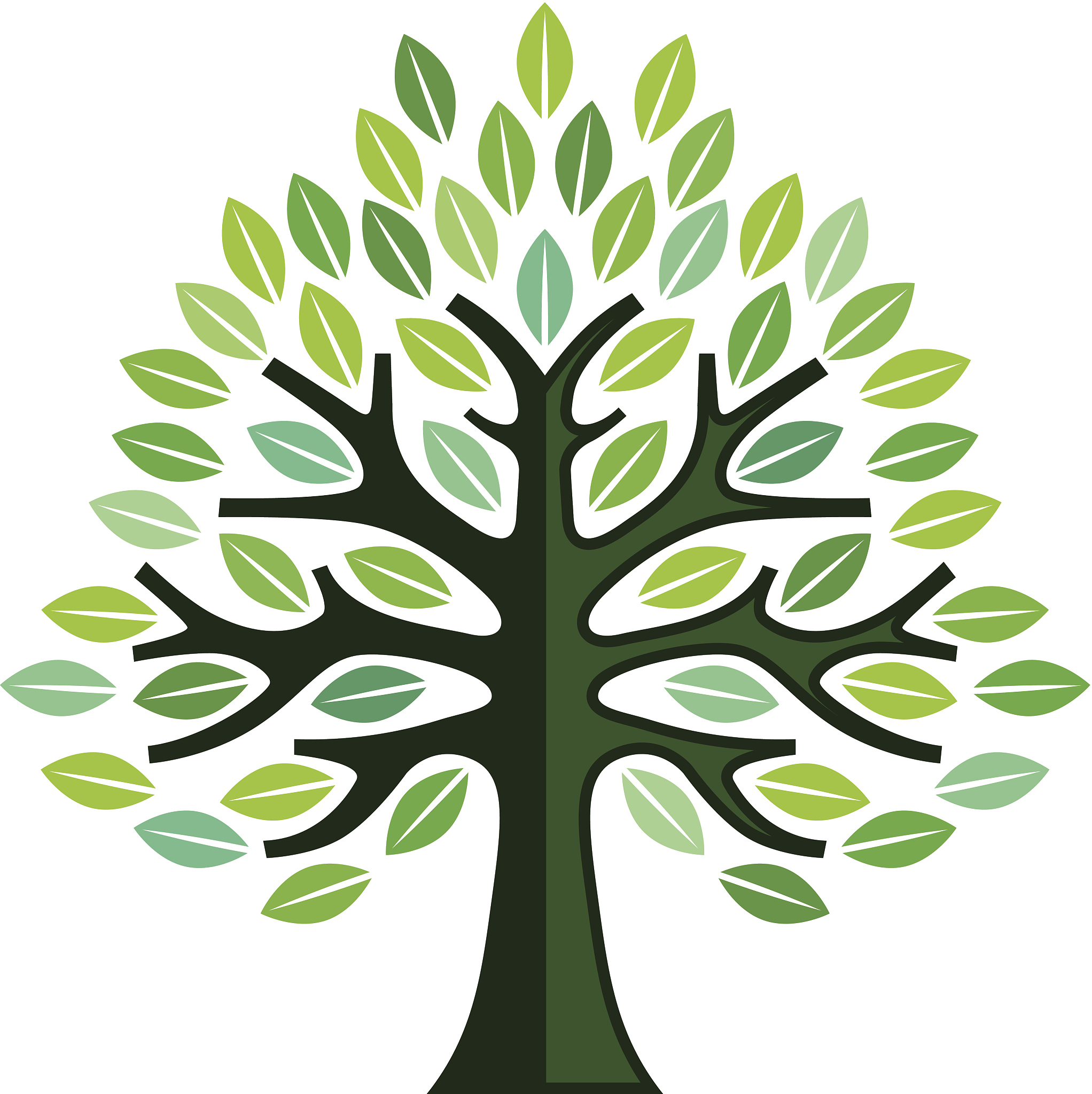 big simple tree illustration