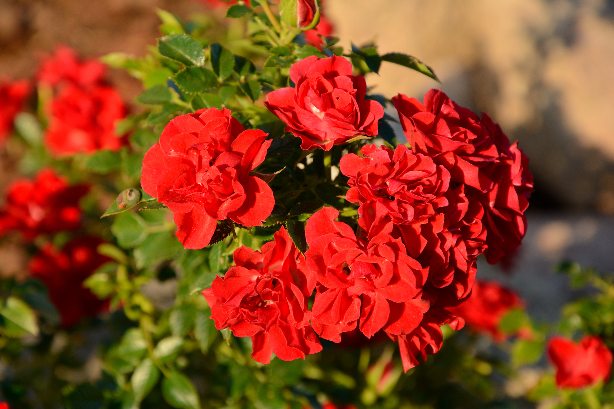 往河道里的石头上喷红色是什么意思