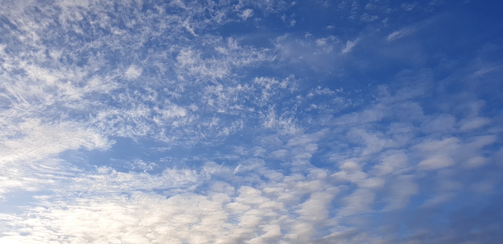 中国劳动关系学院法学专业怎么样