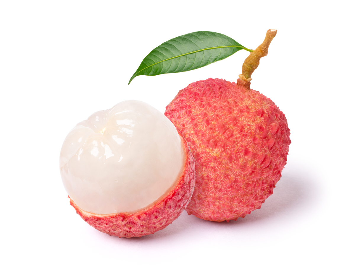 南州六月荔枝丹解析，