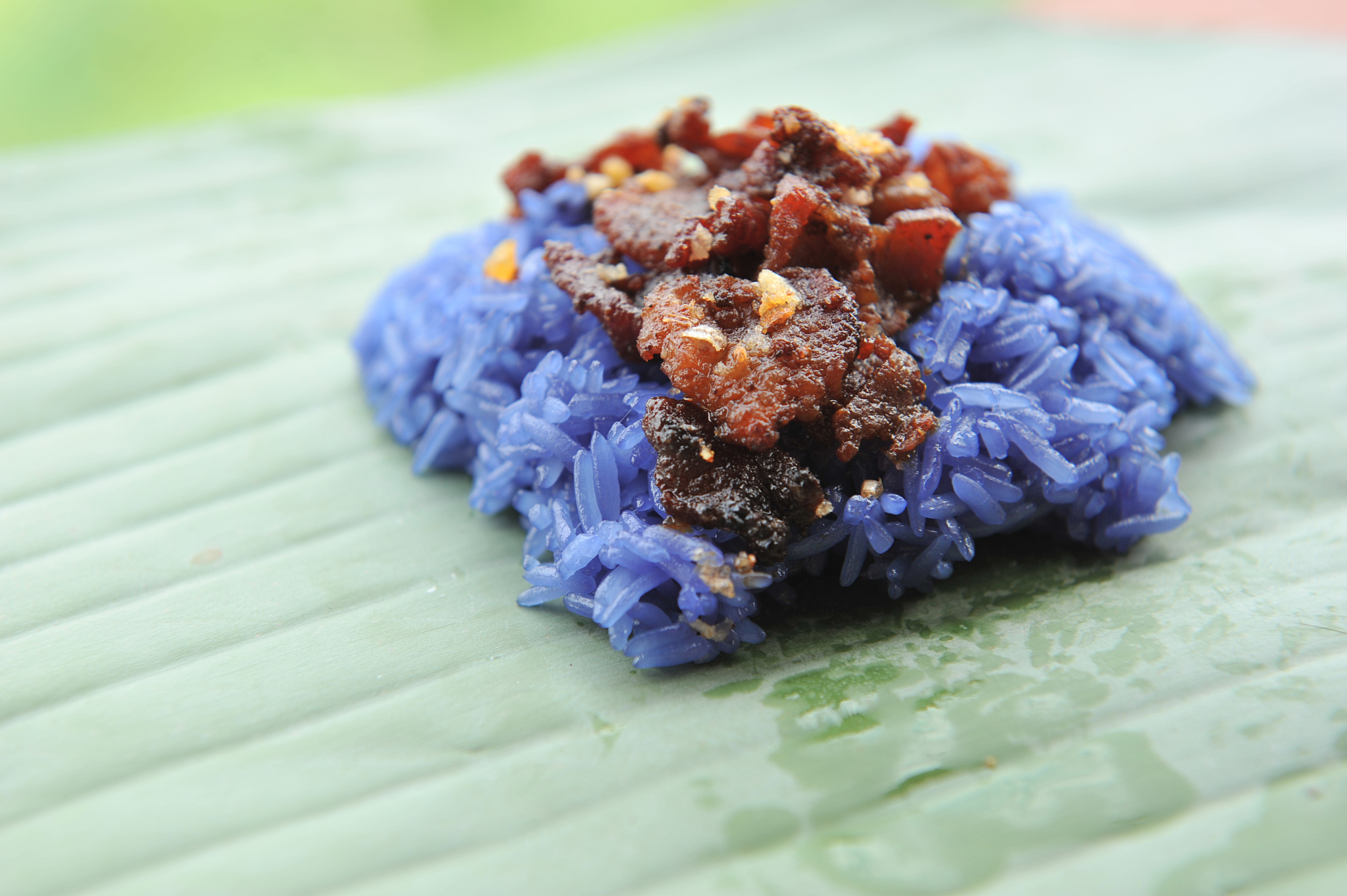 糯米饭变蓝？可能是枫叶惹的祸？