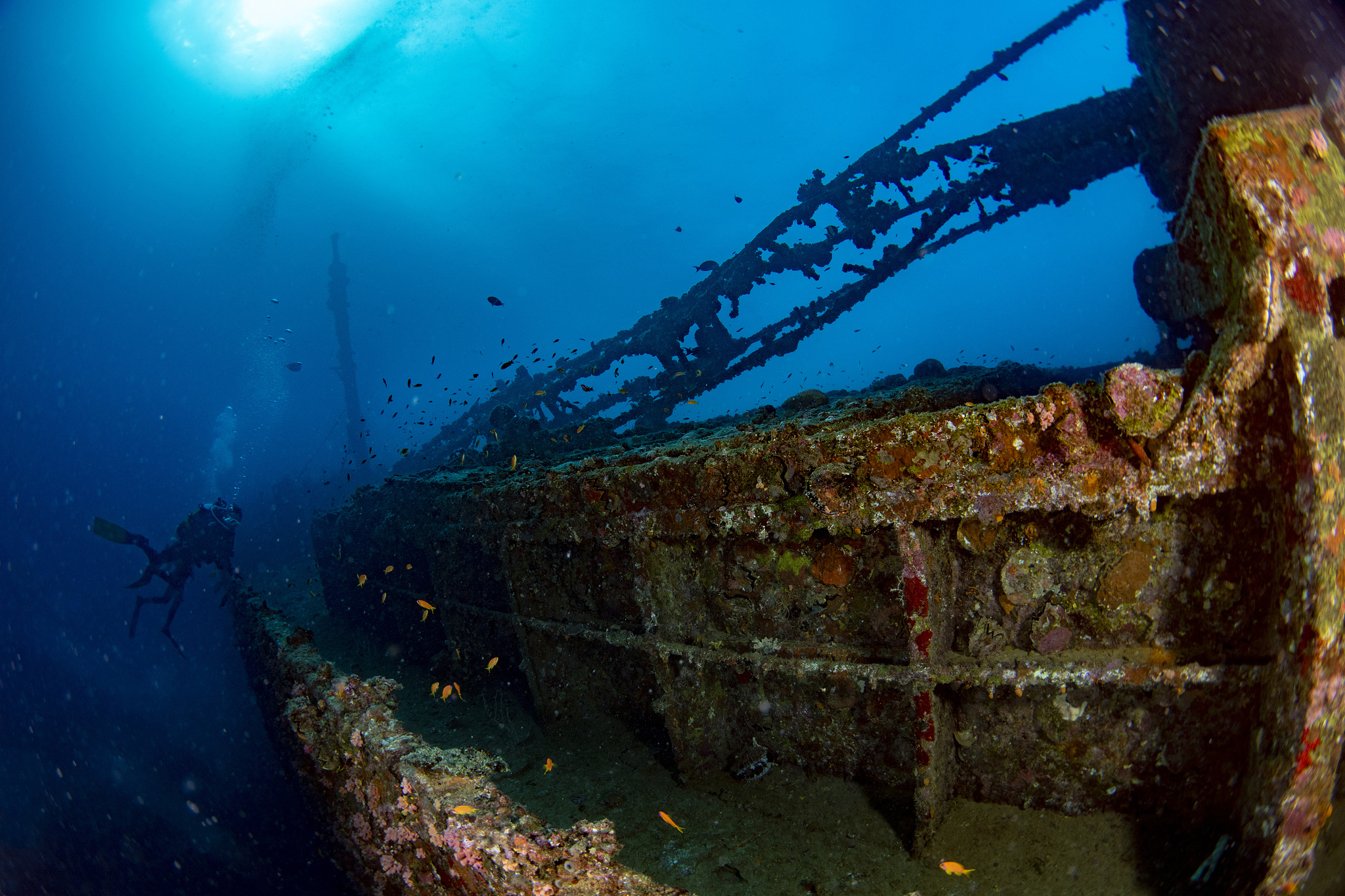 scuba diver diving ship wreck in maldives indian ocean