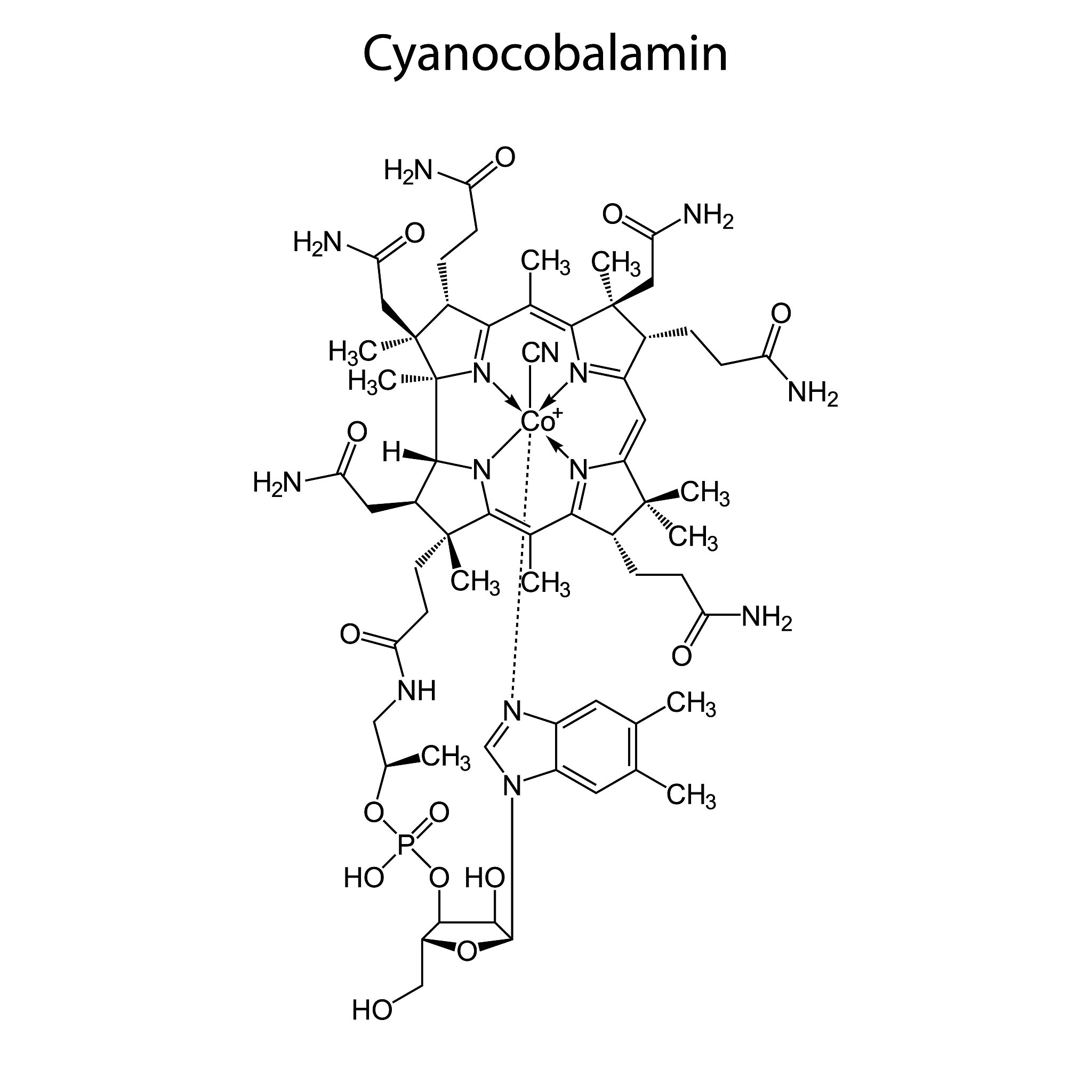 What is PEGylation? Understanding its Role in Drug Delivery
