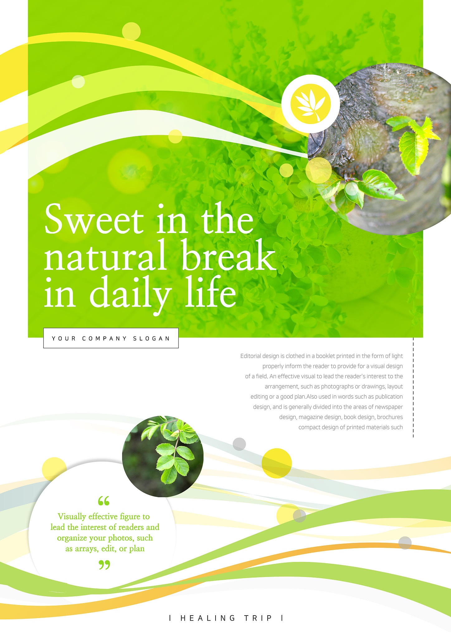 《植物生物学杂志》(Journal of Plant Biology): 研究范围与投稿指南