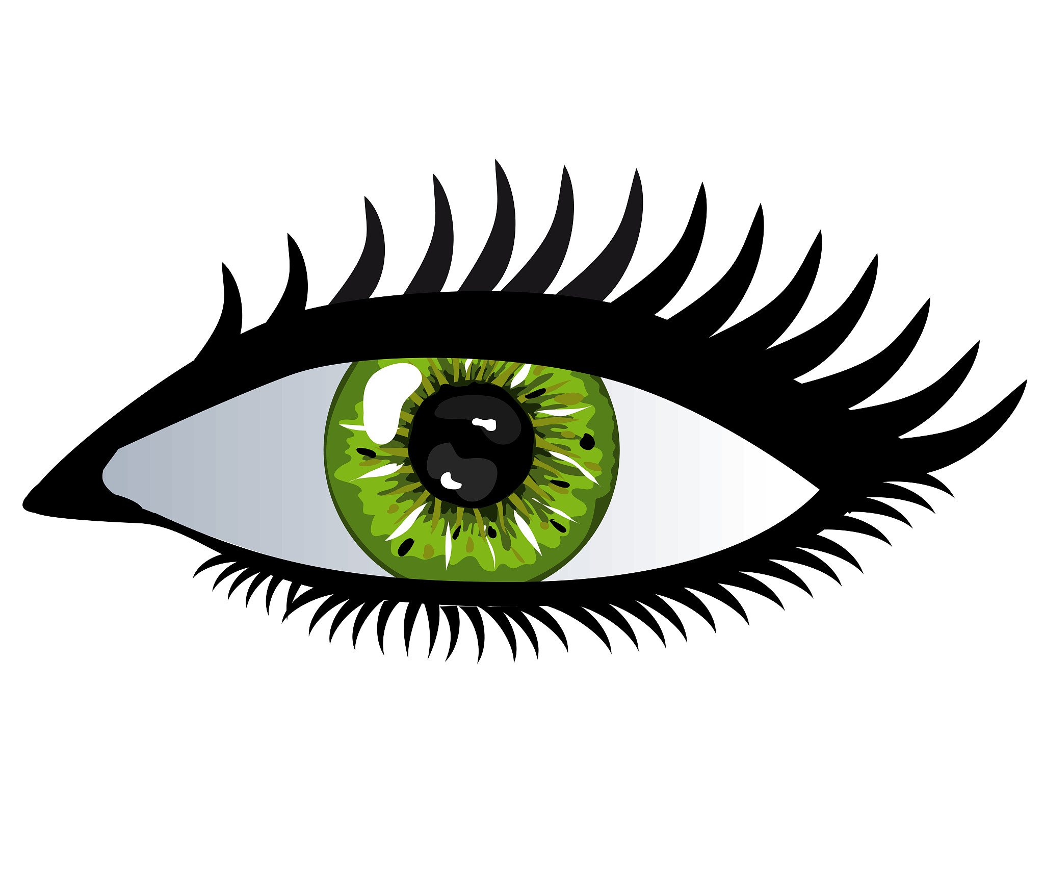 human eye