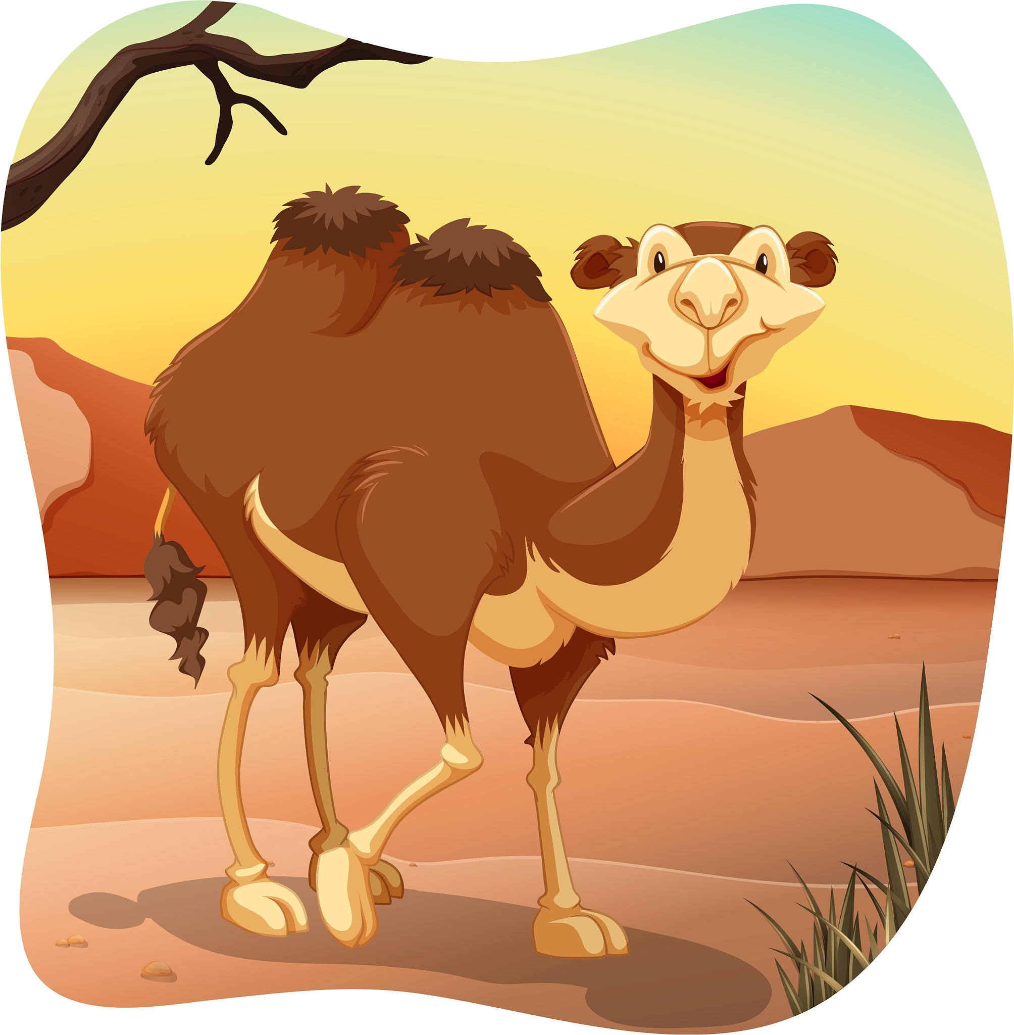 camel