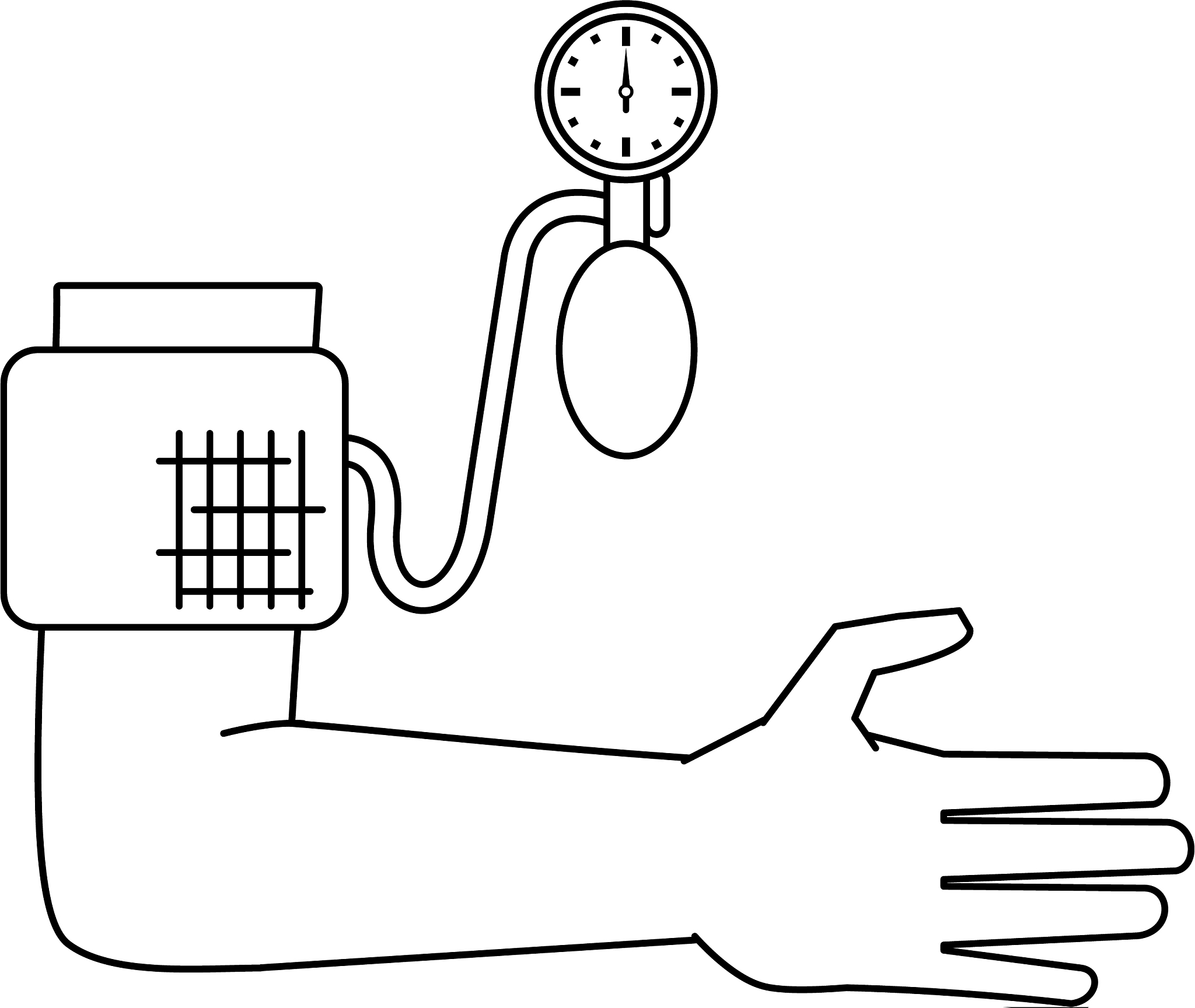 厦门女生学动物医学好吗 就业前景及方向是什么