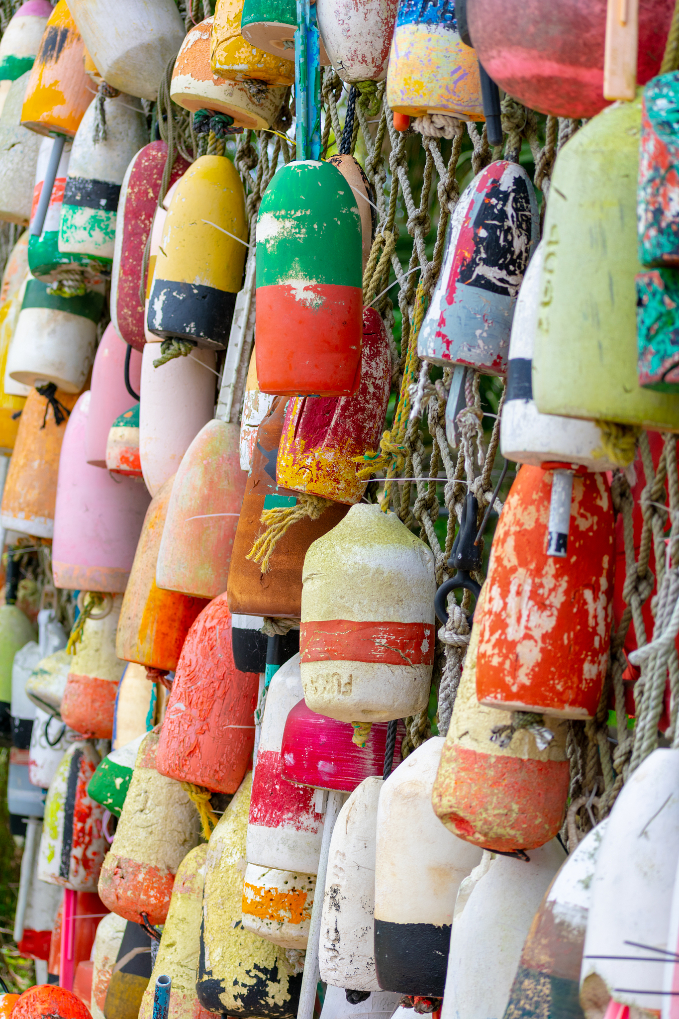 colorful buoys