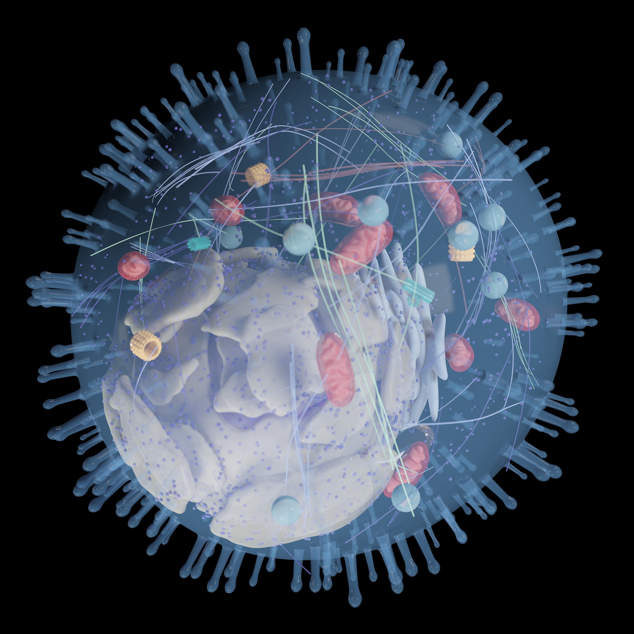 Frontiers in Cellular and Infection Microbiology: 开放获取期刊，促进细胞生物学和感染微生物学研究