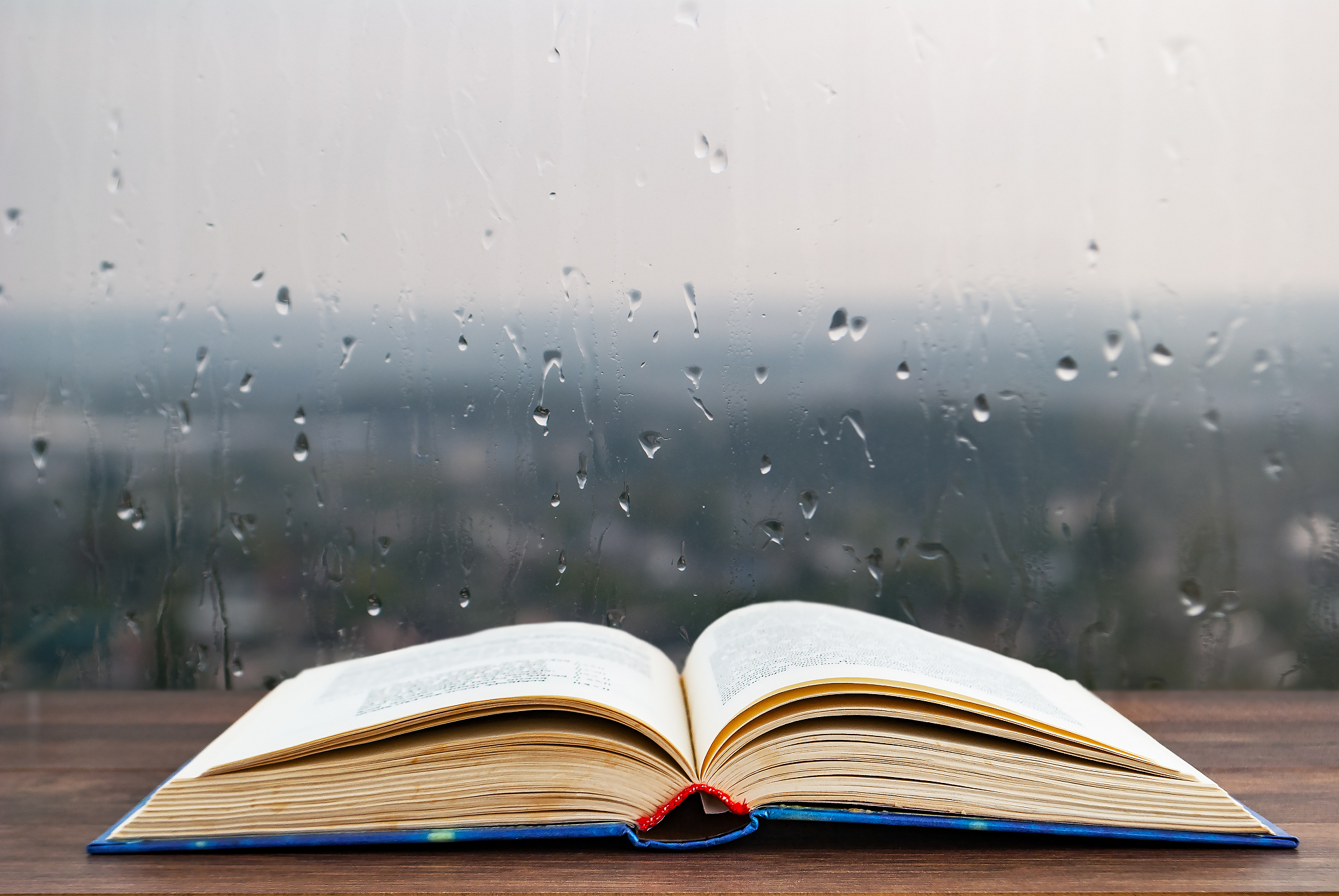 雨天一片淅沥沥的雨声伴随着天空中的乌云将整个世界笼罩在一片苍茫的氛围中。街道上的行人们撑着雨伞慢慢走着街头的水池中游动着一只只淡黄色的鱼淅沥的雨声洗涤着他们的心灵。路边的树木被雨水淋湿叶子上滴滴答答的水珠似乎在唱着一首悲伤的歌曲。夜晚黑暗的天空中雨下得更大了伴随着闪电和雷声给这片湿润的世界增添了一份神秘感。-雨天也是一个很好的读书时光安静的环境加上淅沥的雨声让人更容易沉浸在书本中放松心情收获知识。在雨天也可以和三五好友一起品茗诉说心中的故事分享彼此的快乐感受雨天的温馨。--n延伸一下