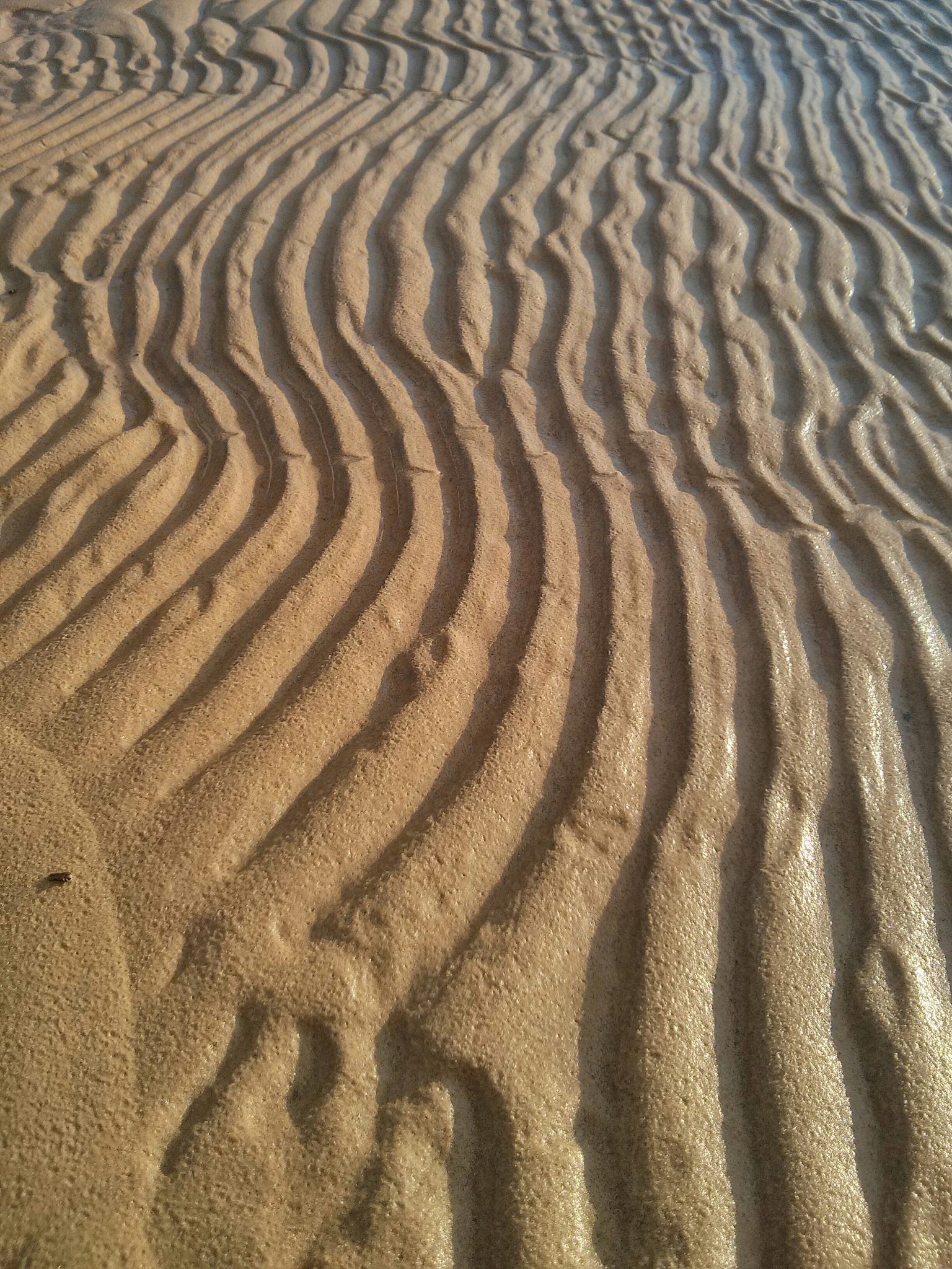full frame shot of sandy beach