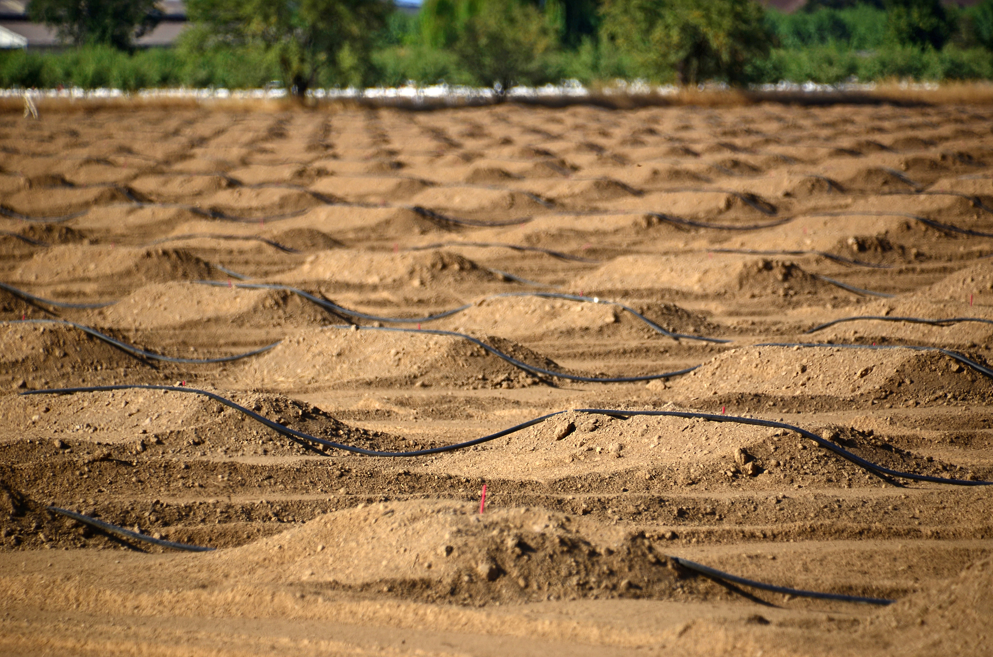 agricultural irrigation
