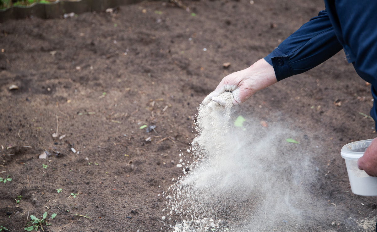硅藻土驱虫效果：吸附水分气味，安全有效