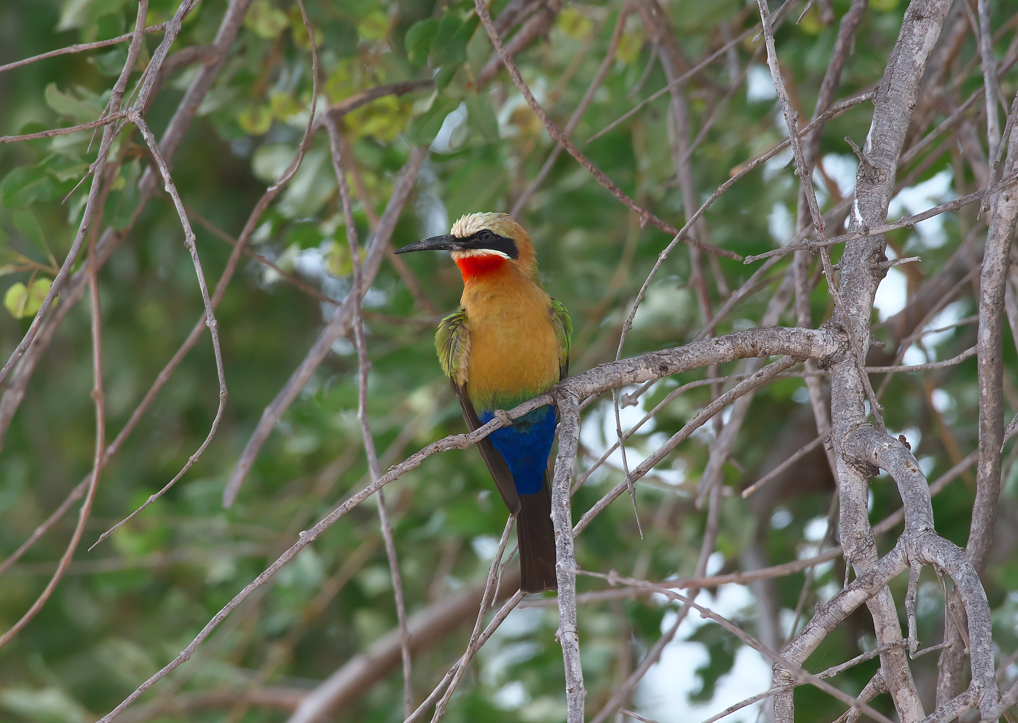 ondangwa, namibia