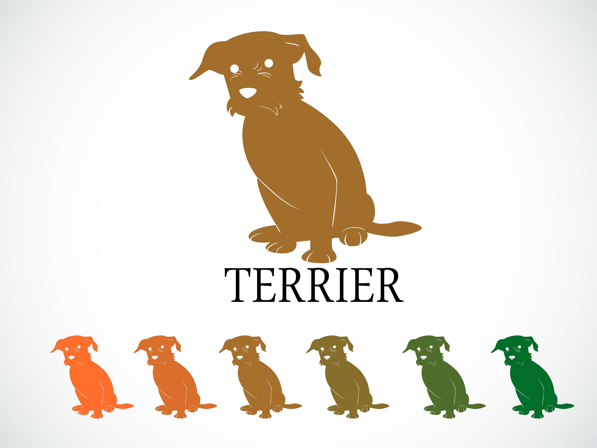 Woman spots a pile of tiny puppies shivering in the rain