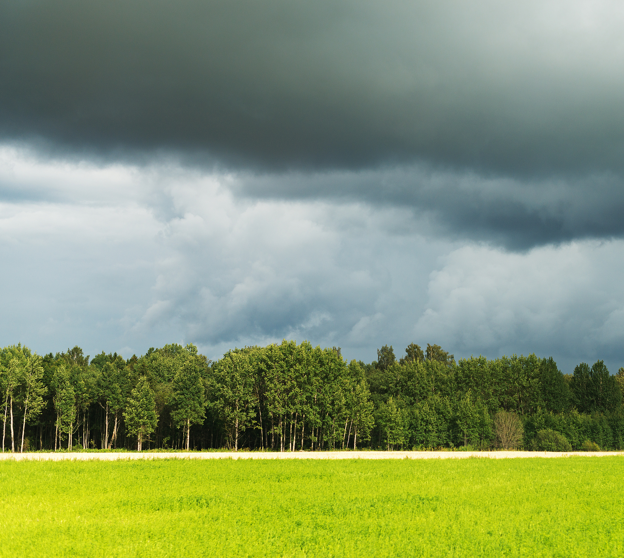 阵雨的情景是什么样子的
