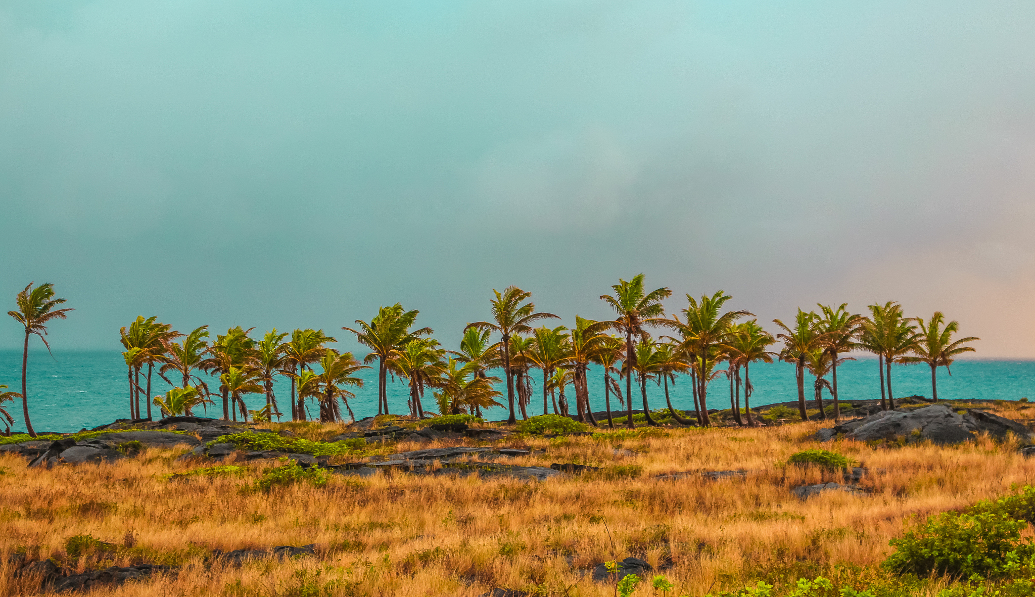 tropics