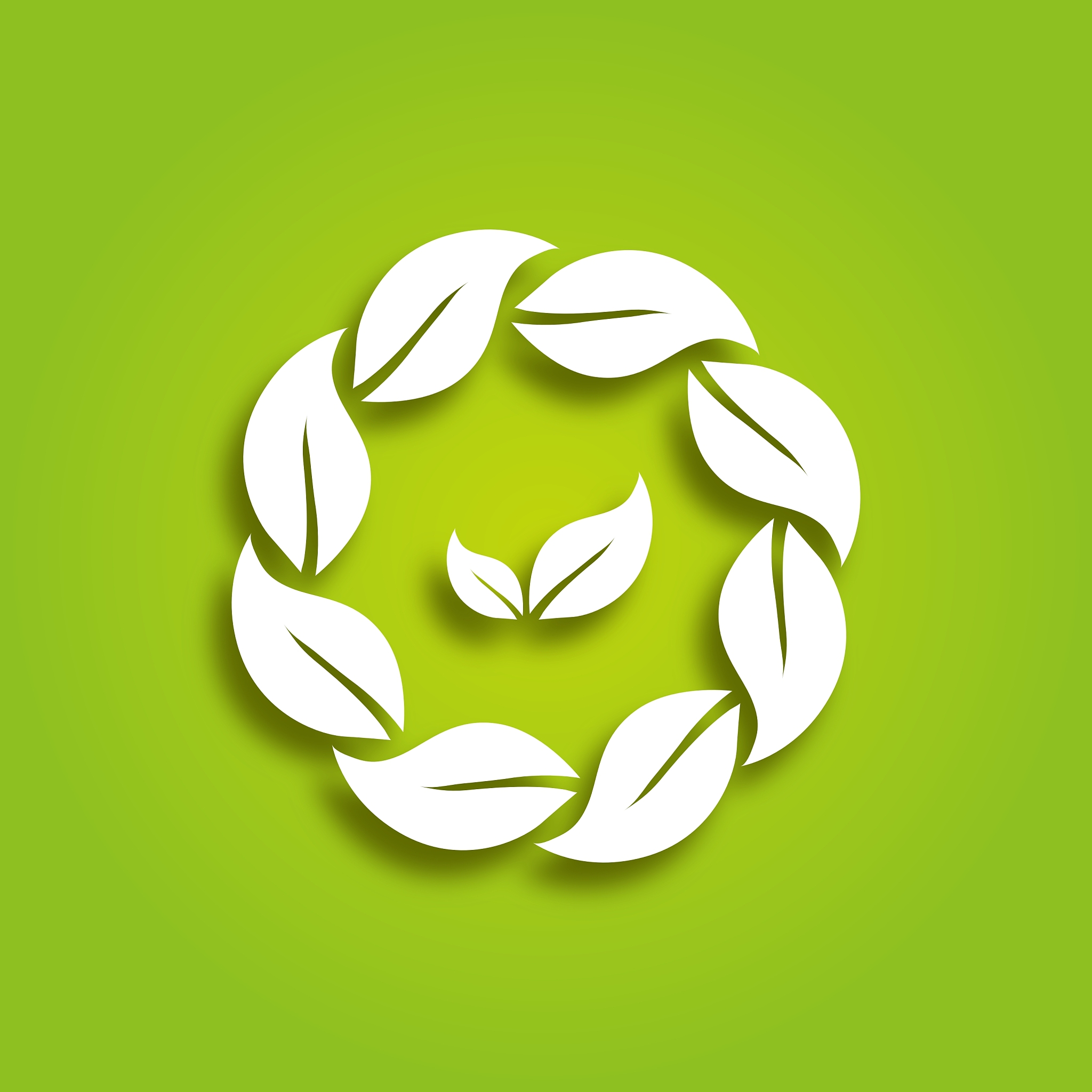 eco paper leaves