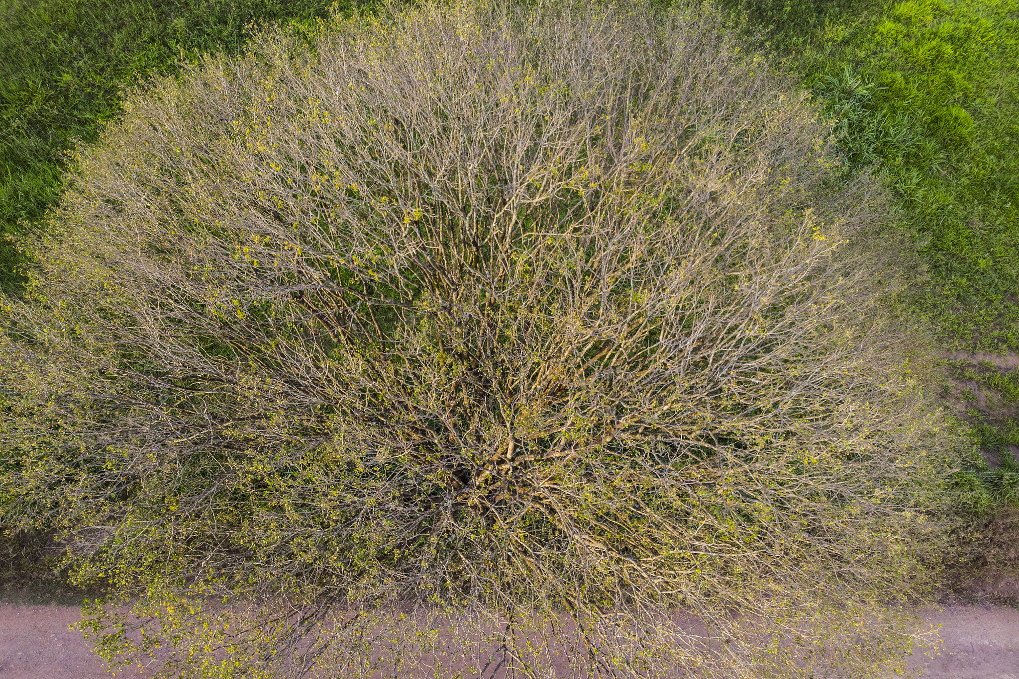 2022年贵阳医学院民族医药学院招生专业|民族医药学专业人才培养基地