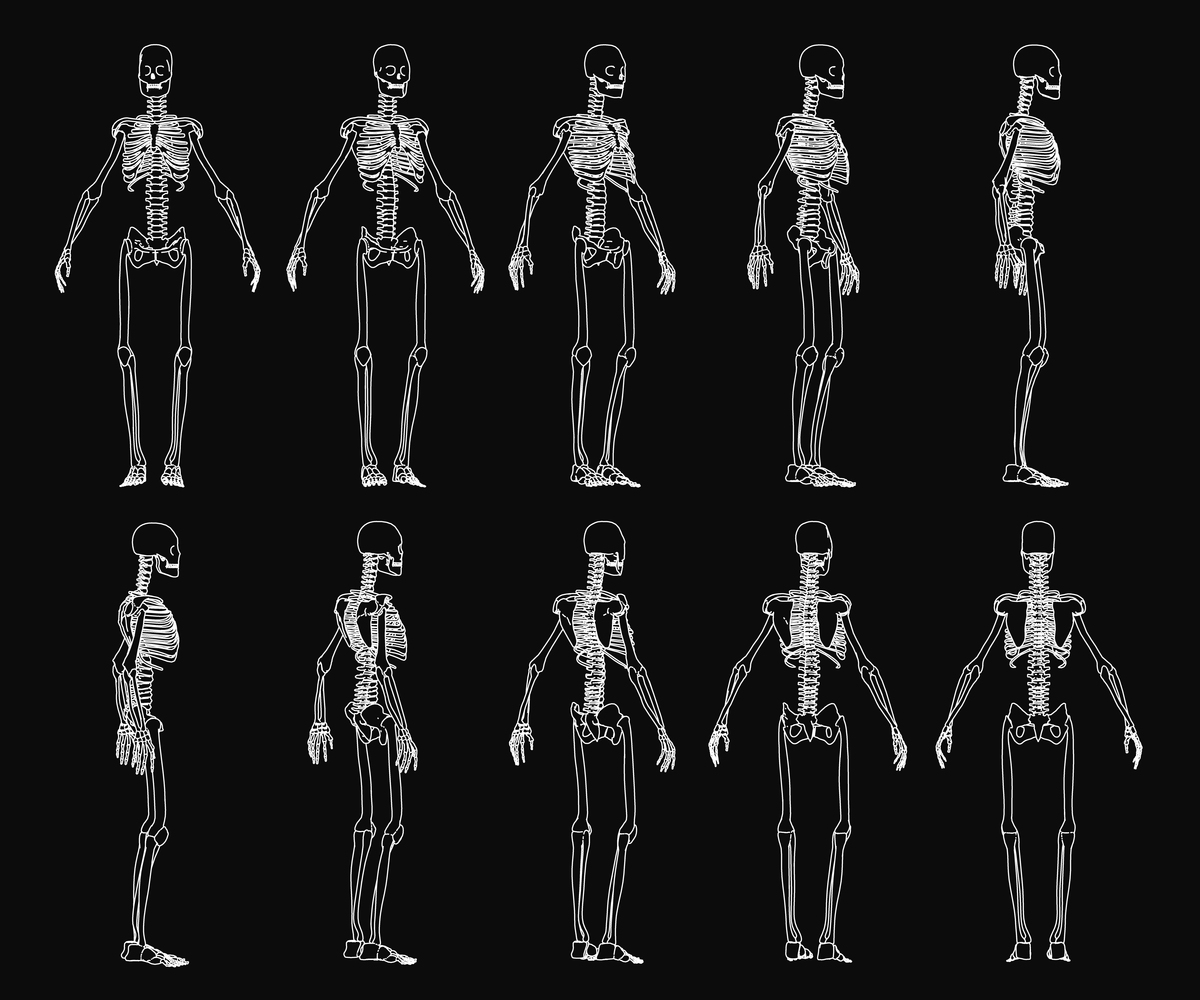 人体姿态估计算法详解：原理、优缺点及应用场景