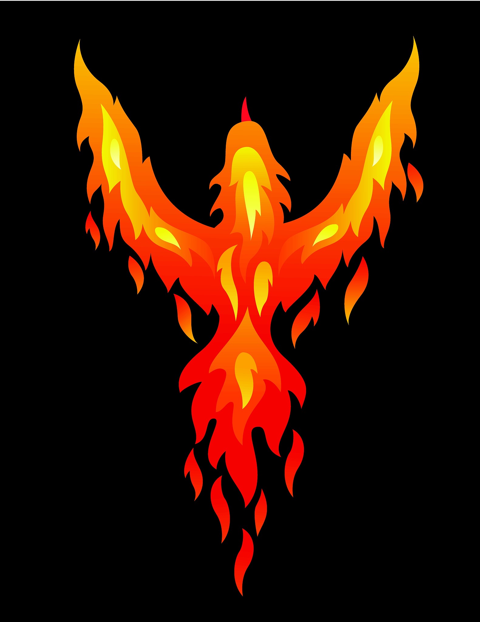 丹帝王牌宝可梦：火焰鸟！实力与威严并存