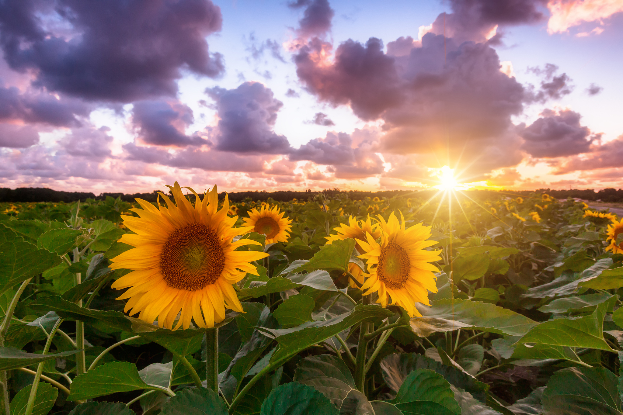 美好的一天从早晨开始 - 祝你拥有美好的一天！