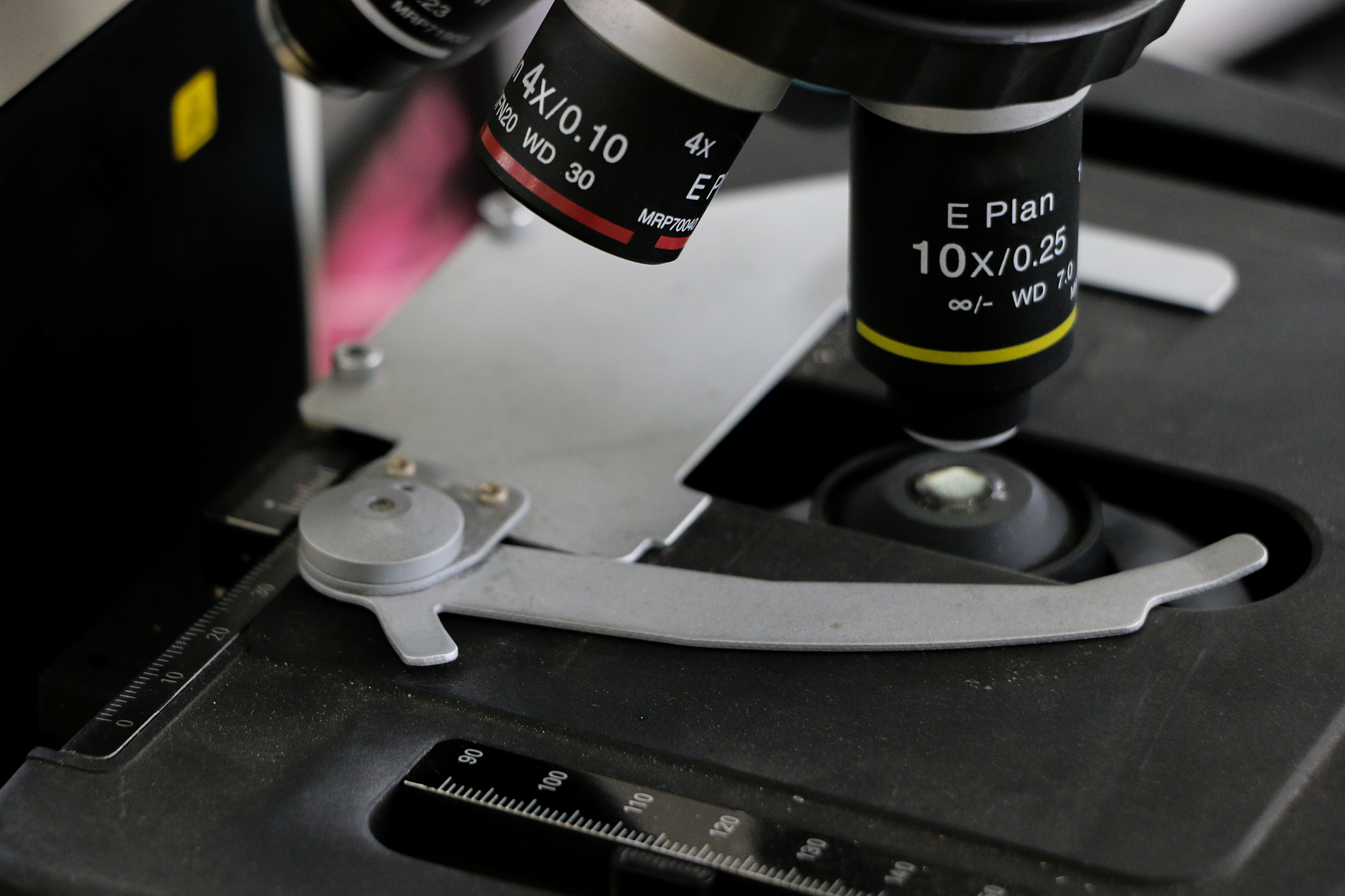 南开大学化学生物学专业怎么样？| 深入了解专业优势和发展前景