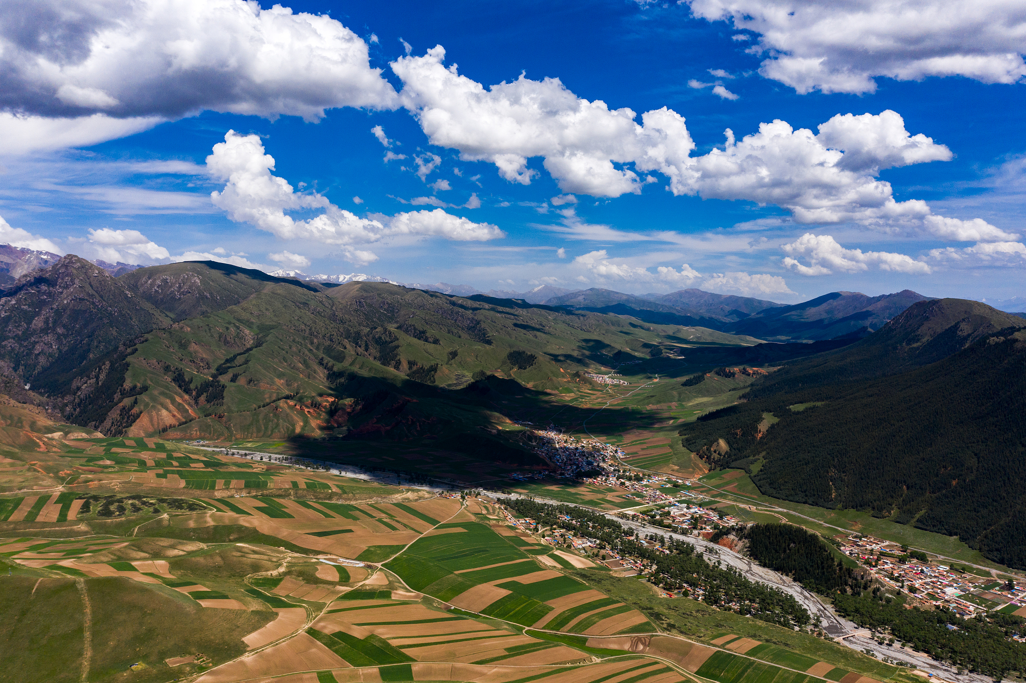 重庆第二航空农业学校地址在哪？招生信息和教学特色介绍