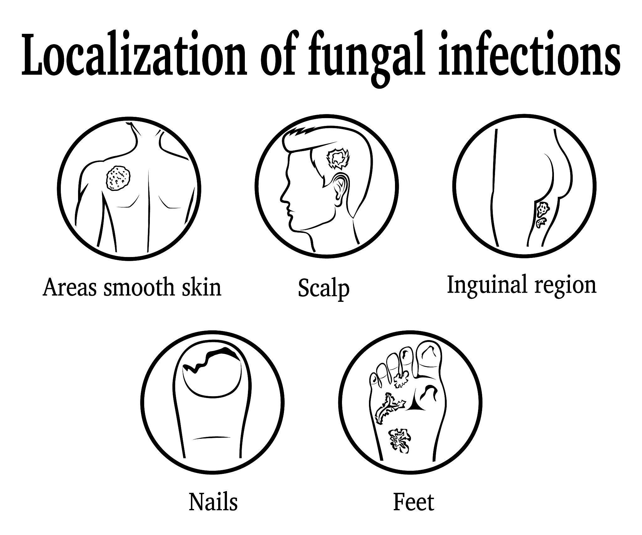 来40个自然挚爱牛油果甘菊洗发露百度经常提问的问题