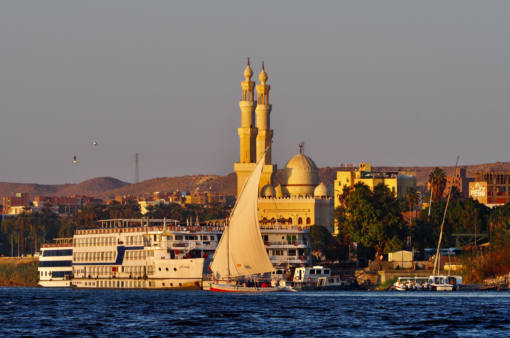 aswan landscape