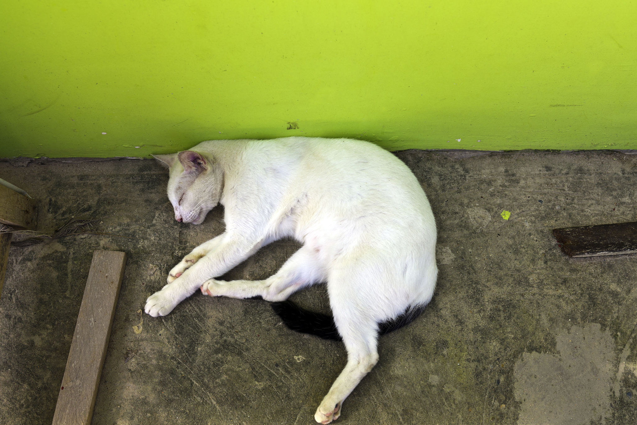 改善菲律宾和中国公务员制度的结果与建议