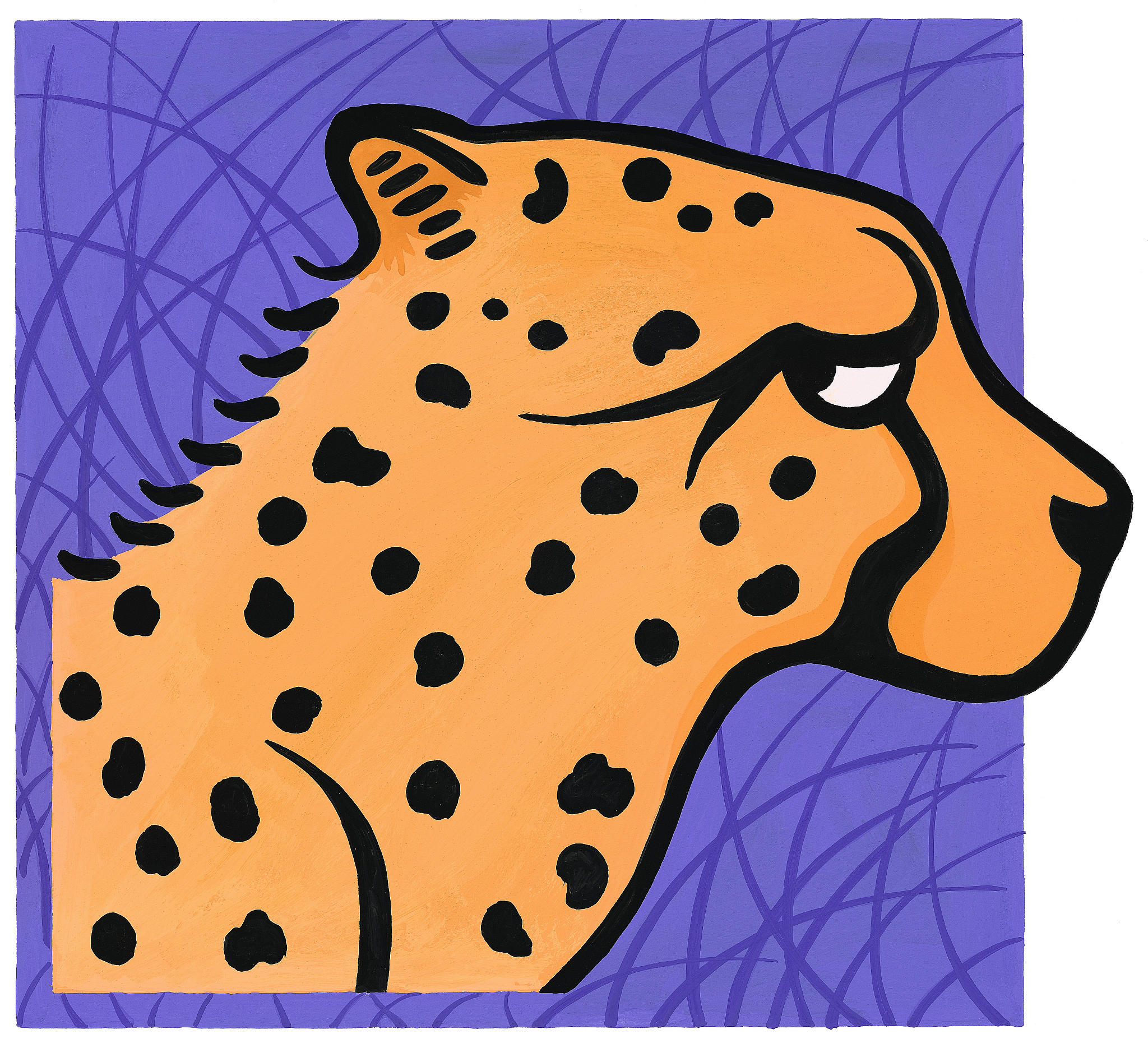 cheetah